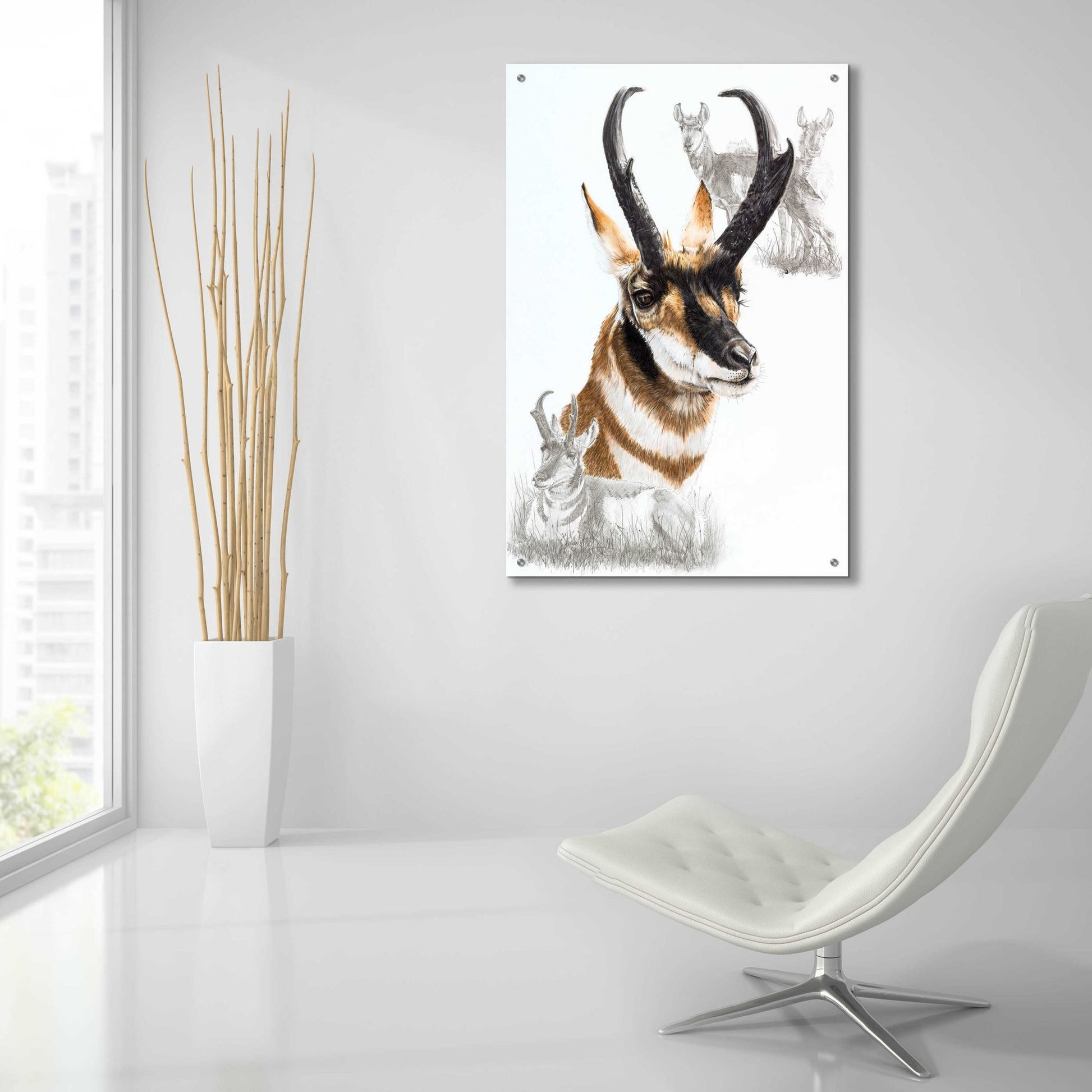 Epic Art 'Pronghorn' by Barbara Keith, Acrylic Glass Wall Art,24x36