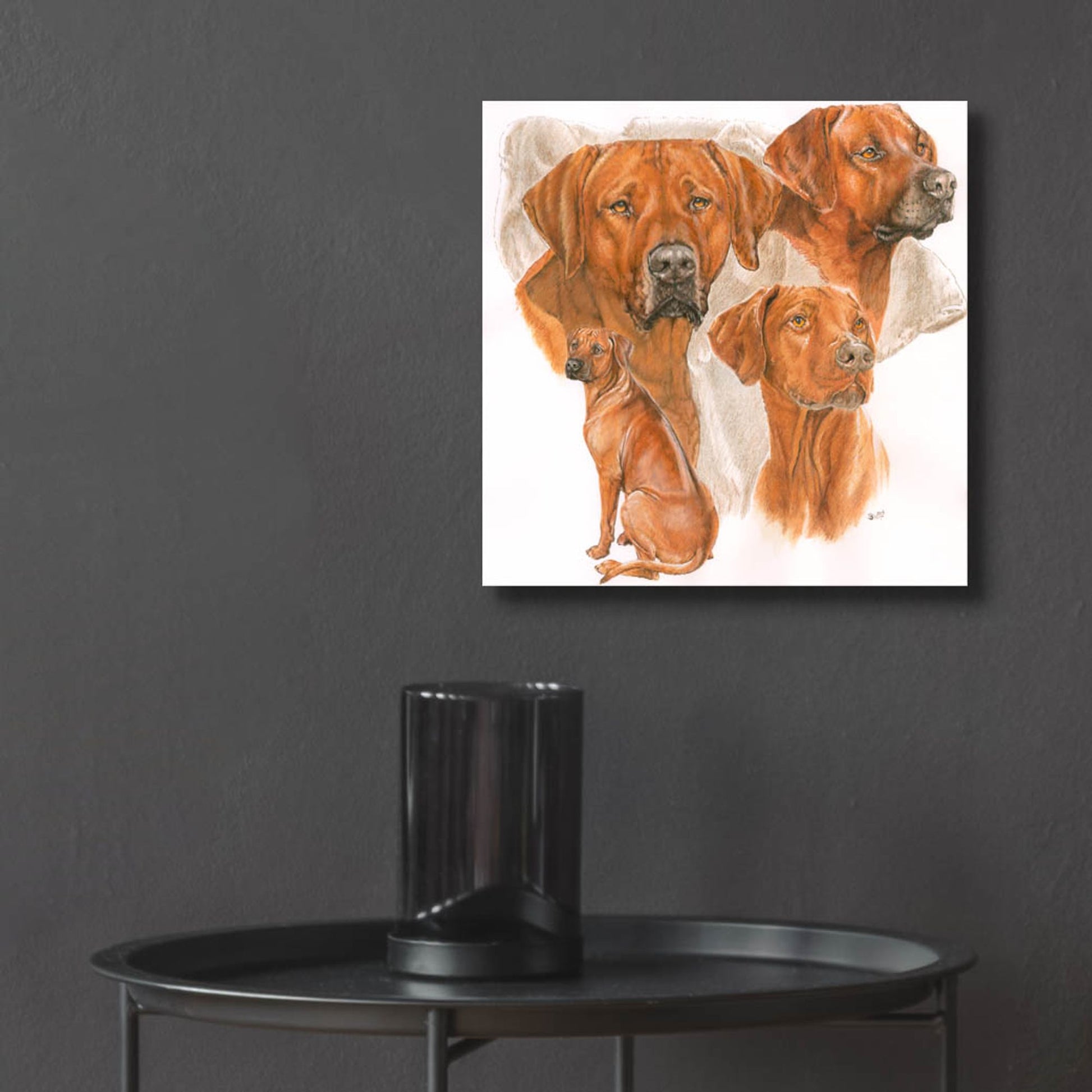 Epic Art 'Rhodisian Ridgeback' by Barbara Keith, Acrylic Glass Wall Art,12x12