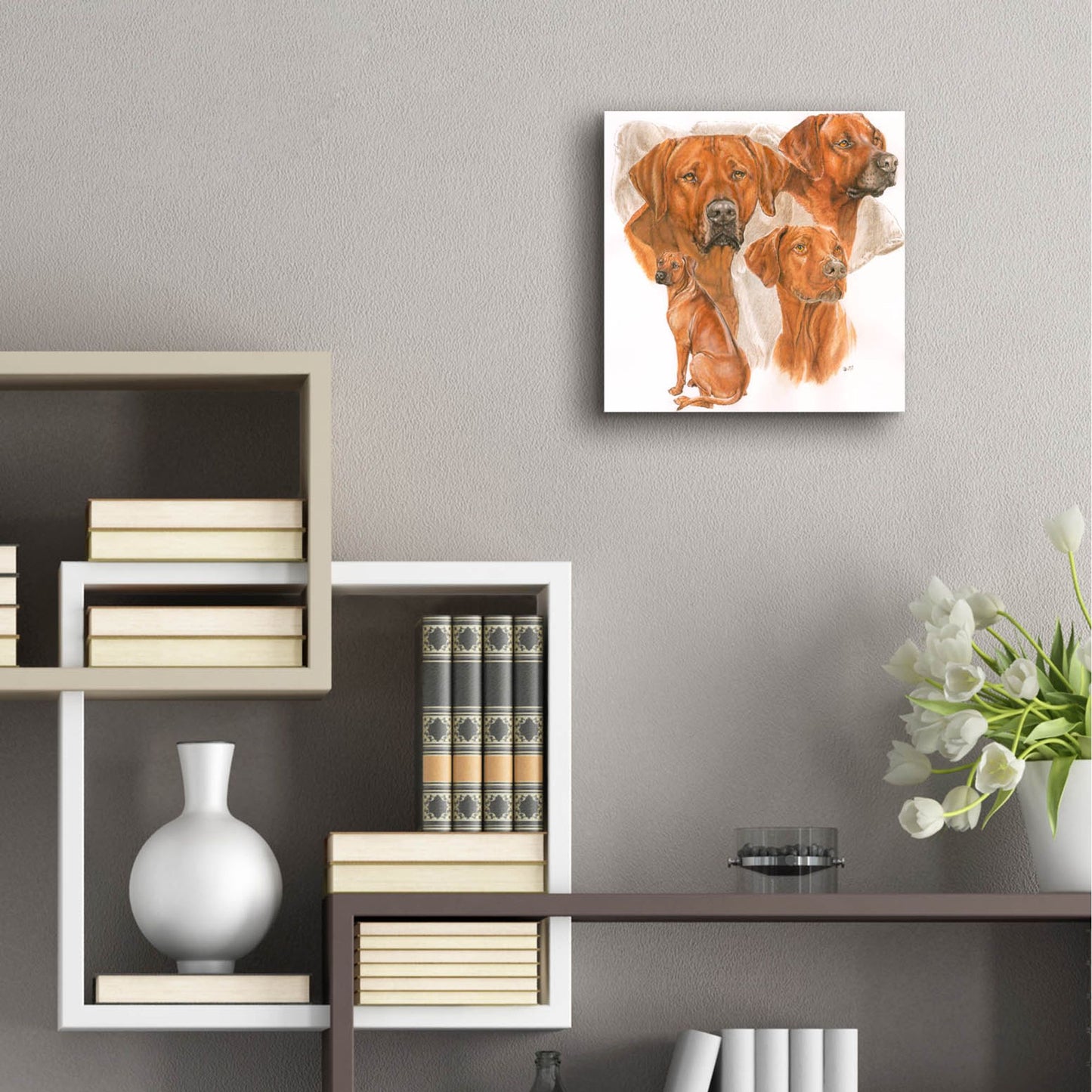 Epic Art 'Rhodisian Ridgeback' by Barbara Keith, Acrylic Glass Wall Art,12x12