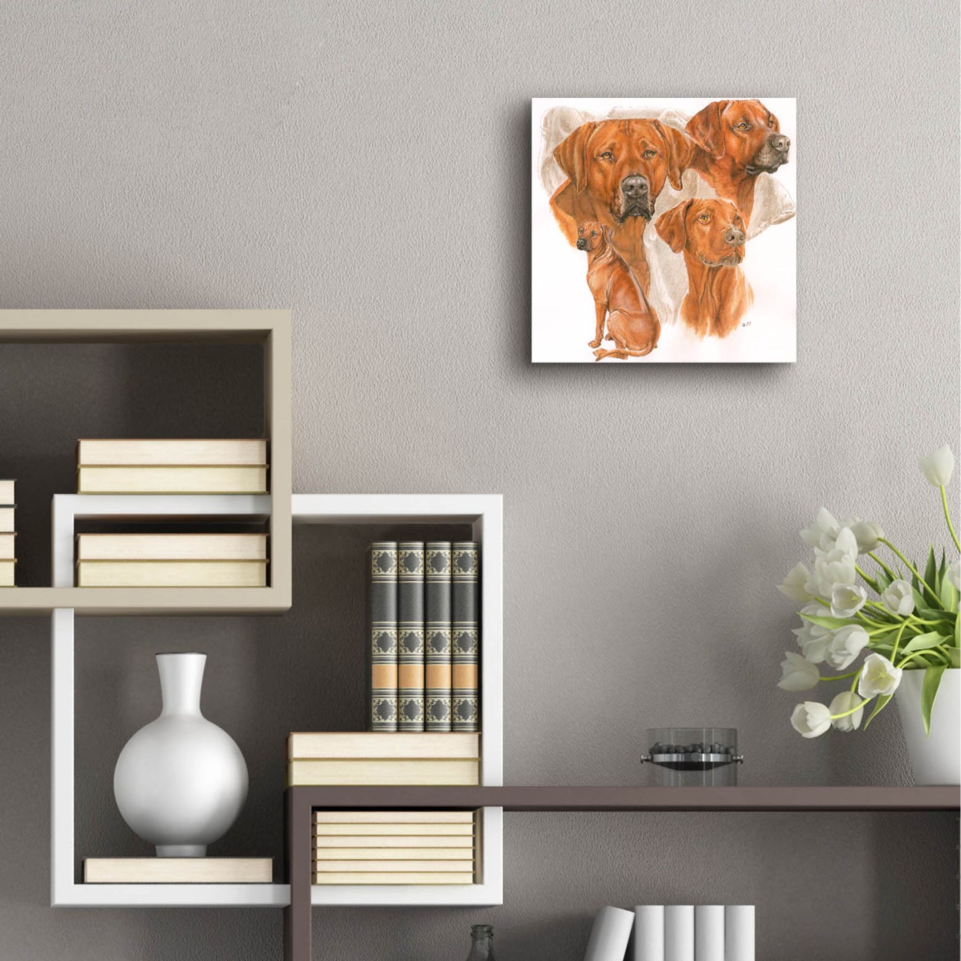 Epic Art 'Rhodisian Ridgeback' by Barbara Keith, Acrylic Glass Wall Art,12x12