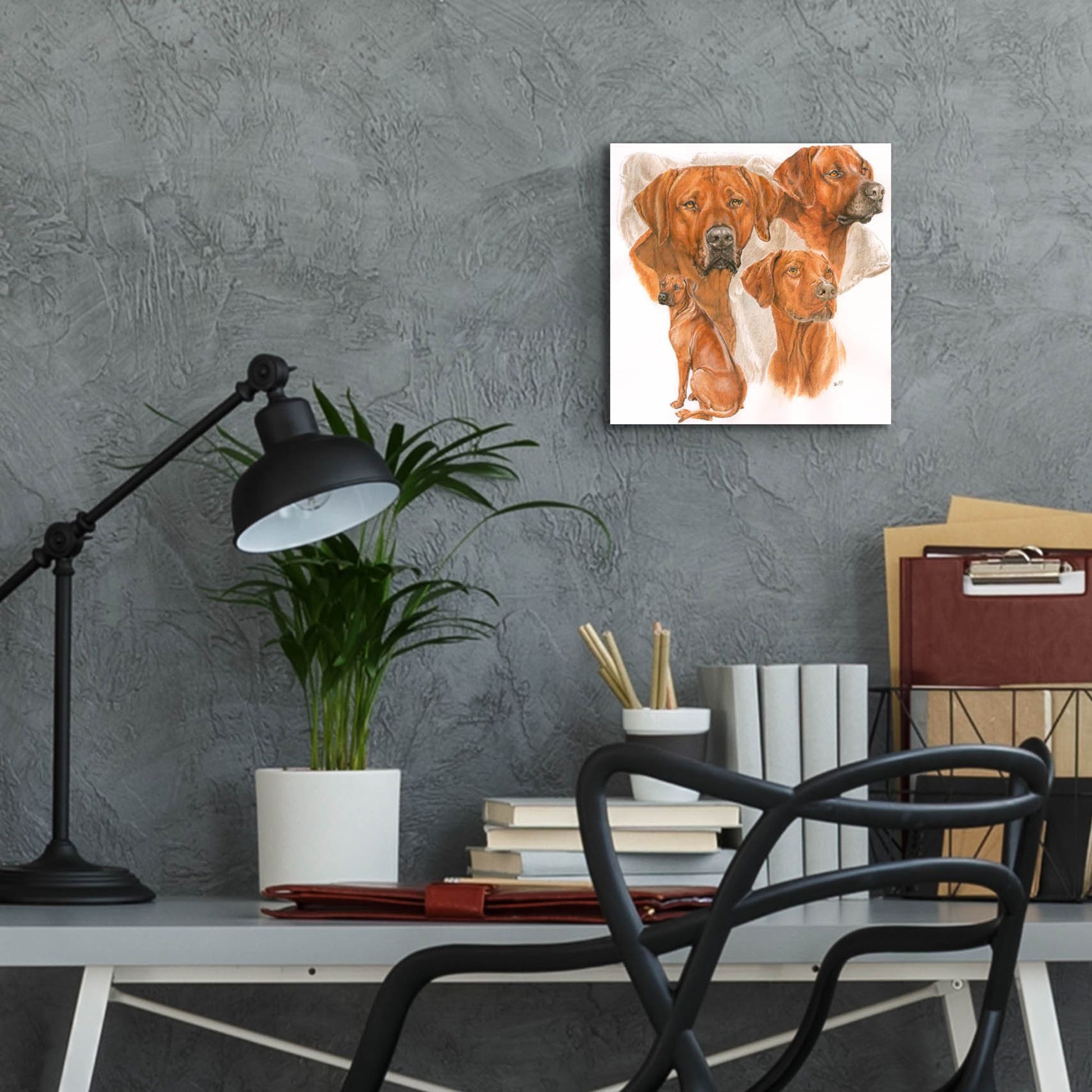 Epic Art 'Rhodisian Ridgeback' by Barbara Keith, Acrylic Glass Wall Art,12x12