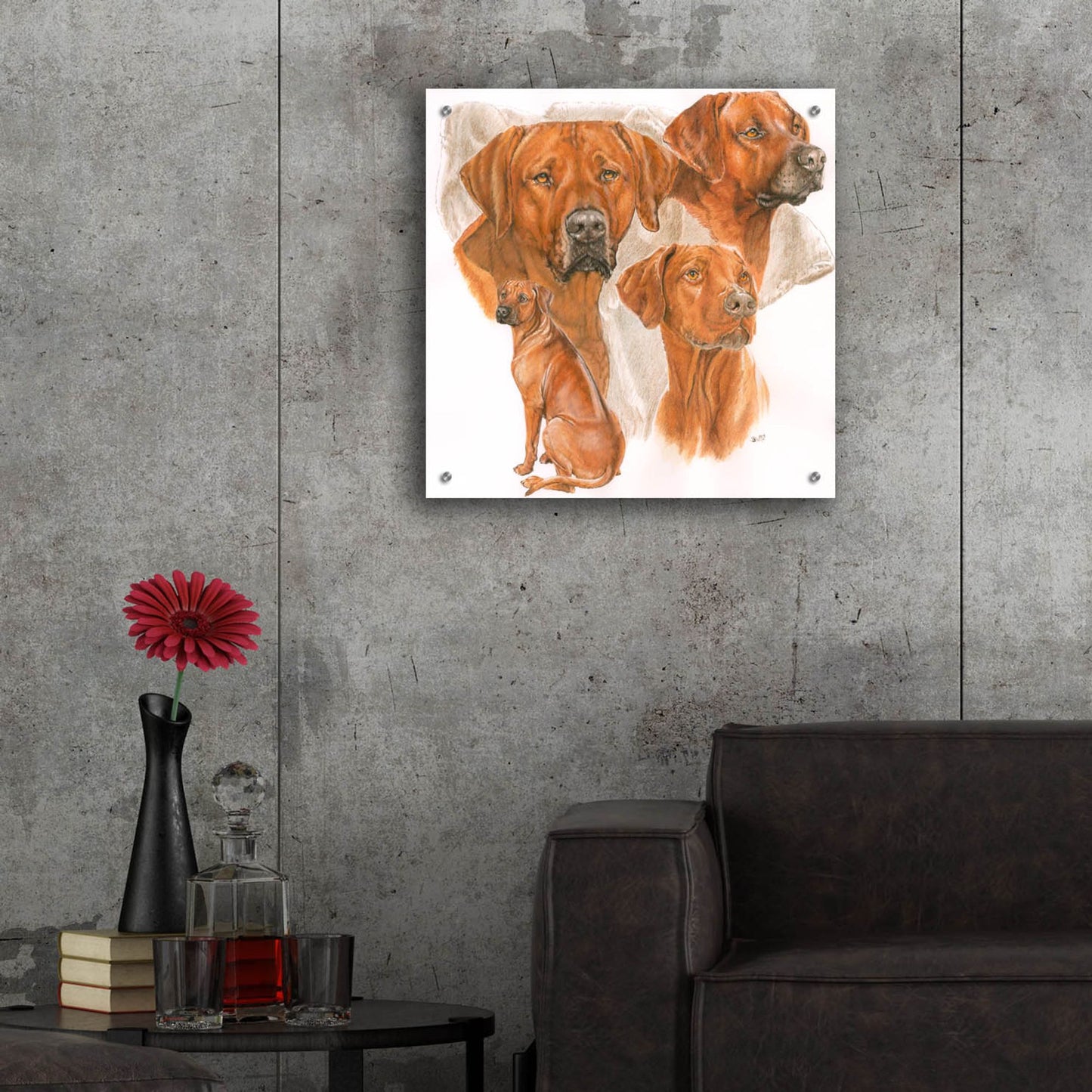 Epic Art 'Rhodisian Ridgeback' by Barbara Keith, Acrylic Glass Wall Art,24x24