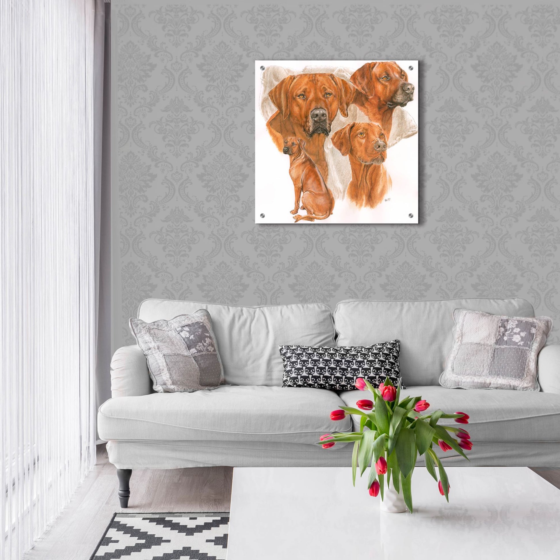 Epic Art 'Rhodisian Ridgeback' by Barbara Keith, Acrylic Glass Wall Art,24x24