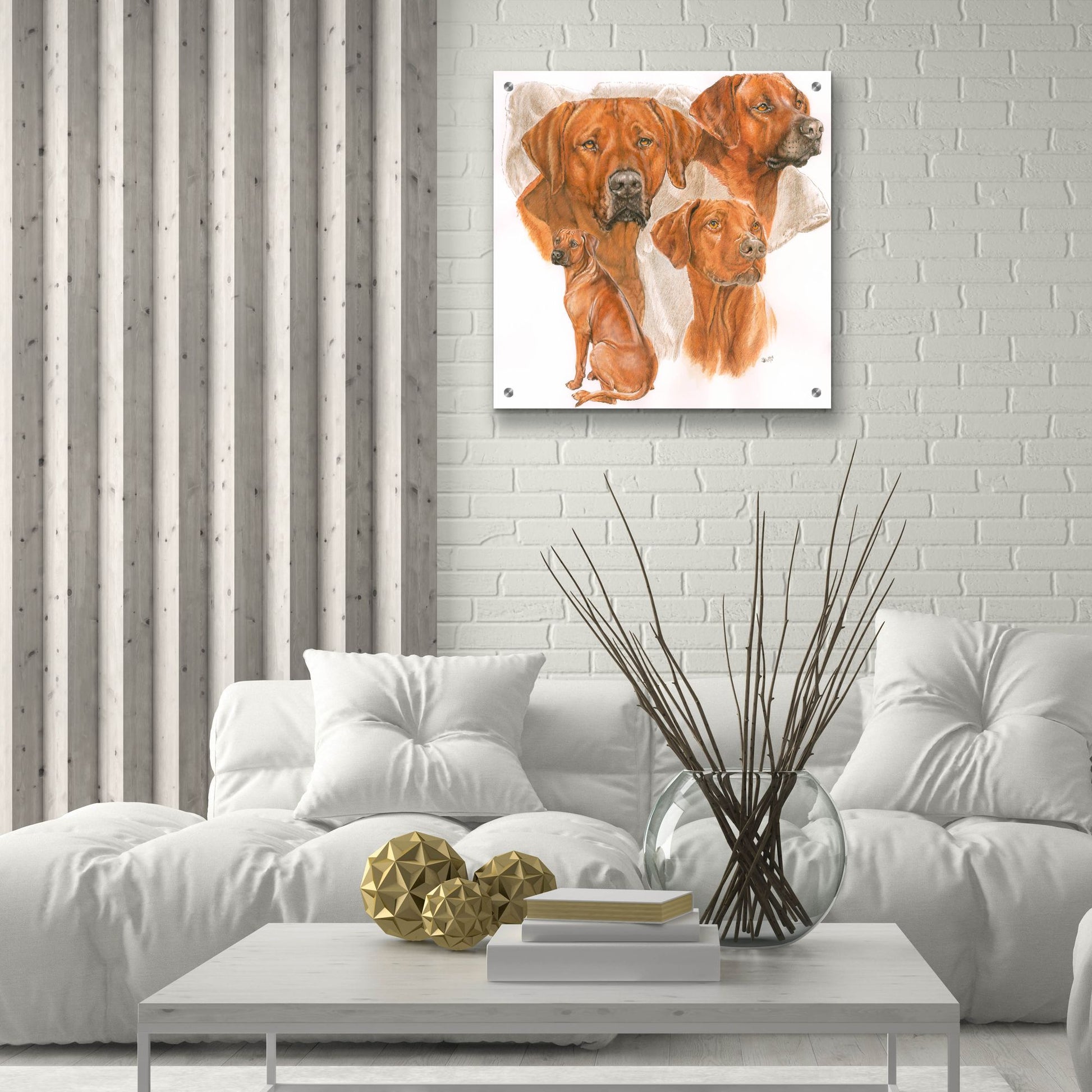 Epic Art 'Rhodisian Ridgeback' by Barbara Keith, Acrylic Glass Wall Art,24x24