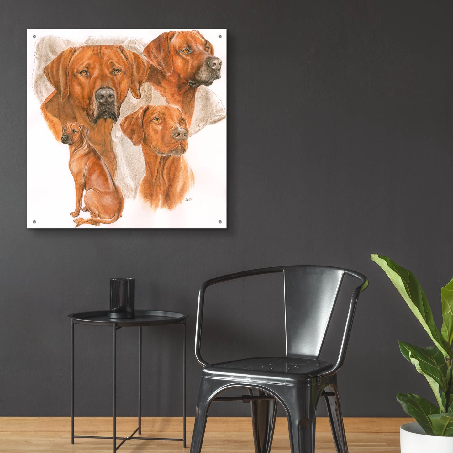 Epic Art 'Rhodisian Ridgeback' by Barbara Keith, Acrylic Glass Wall Art,36x36