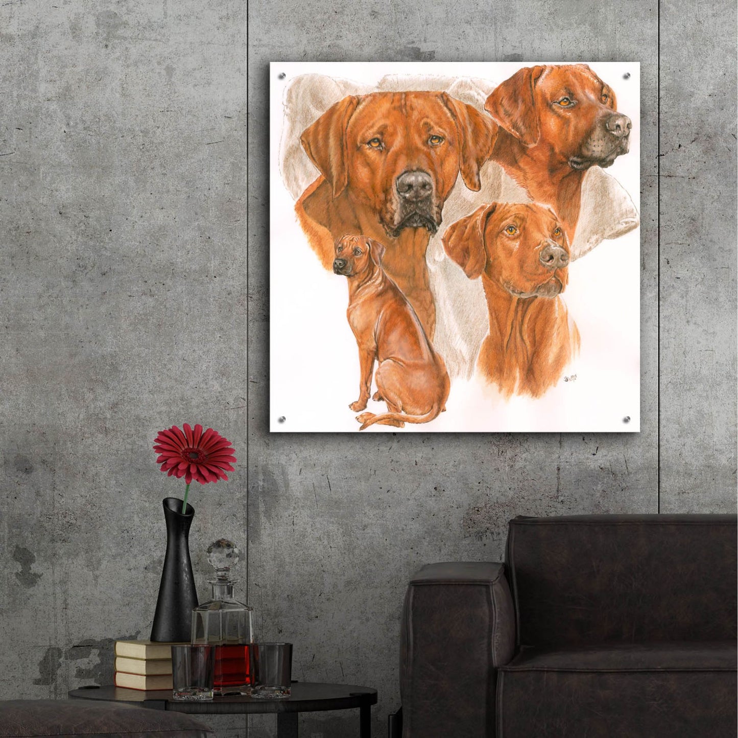 Epic Art 'Rhodisian Ridgeback' by Barbara Keith, Acrylic Glass Wall Art,36x36