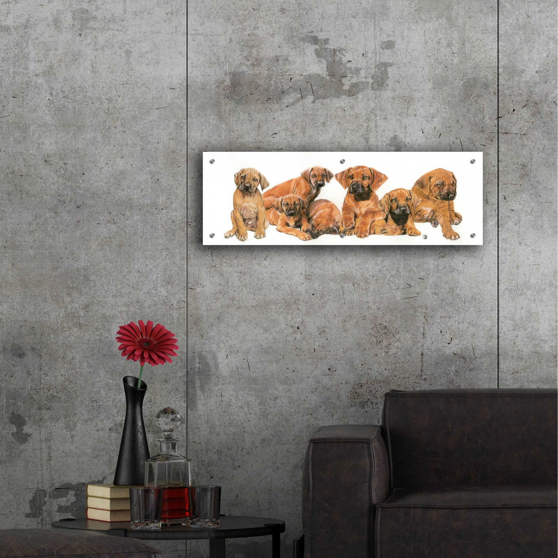 Epic Art 'Rhodisian Ridgeback Puppies' by Barbara Keith, Acrylic Glass Wall Art,36x12