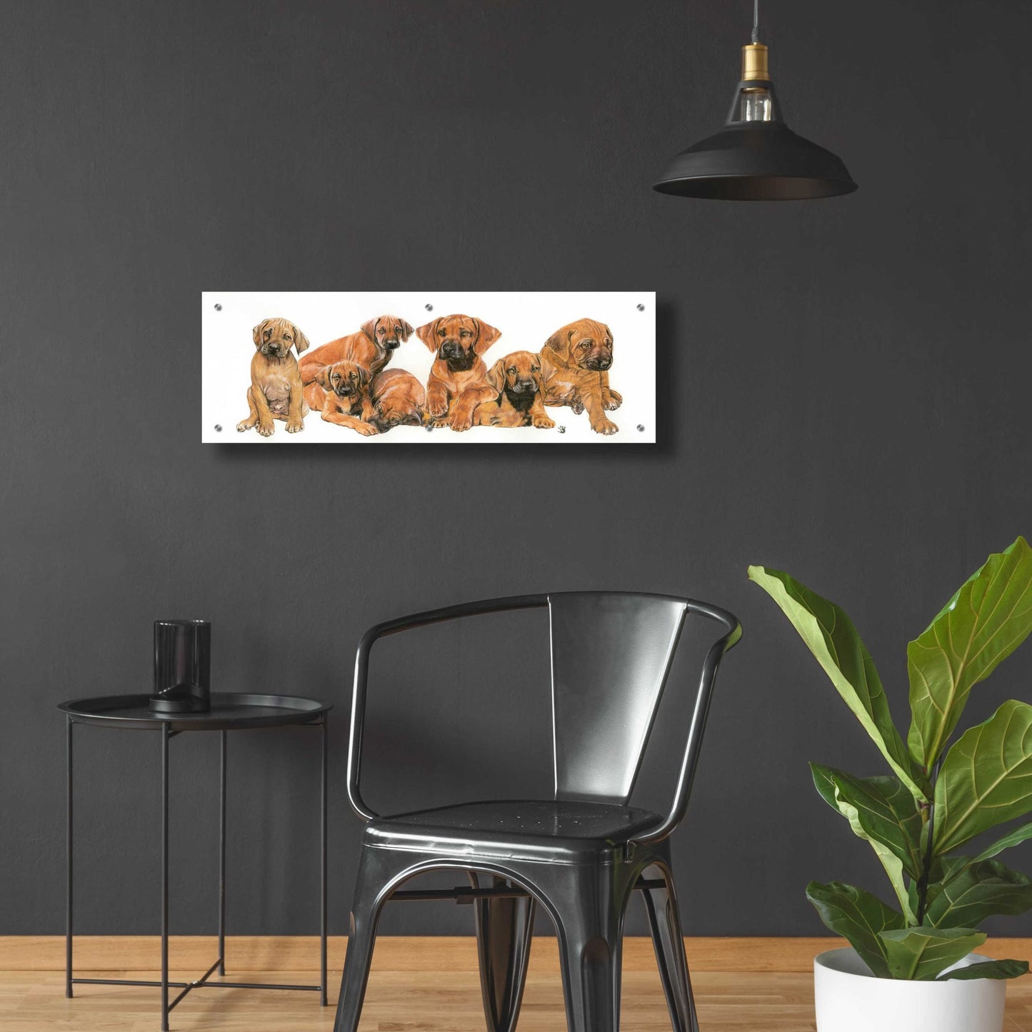 Epic Art 'Rhodisian Ridgeback Puppies' by Barbara Keith, Acrylic Glass Wall Art,36x12