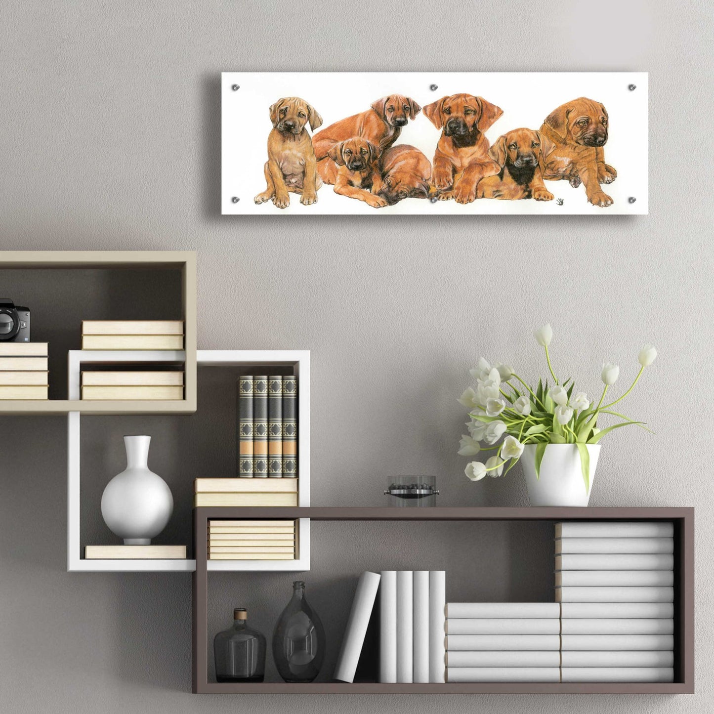 Epic Art 'Rhodisian Ridgeback Puppies' by Barbara Keith, Acrylic Glass Wall Art,36x12