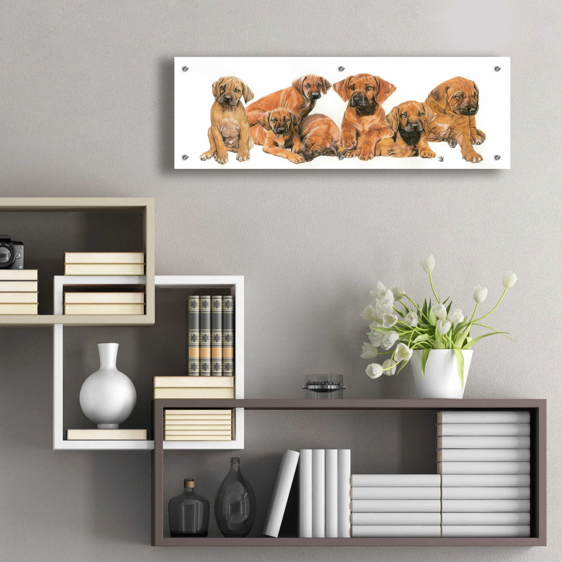 Epic Art 'Rhodisian Ridgeback Puppies' by Barbara Keith, Acrylic Glass Wall Art,36x12