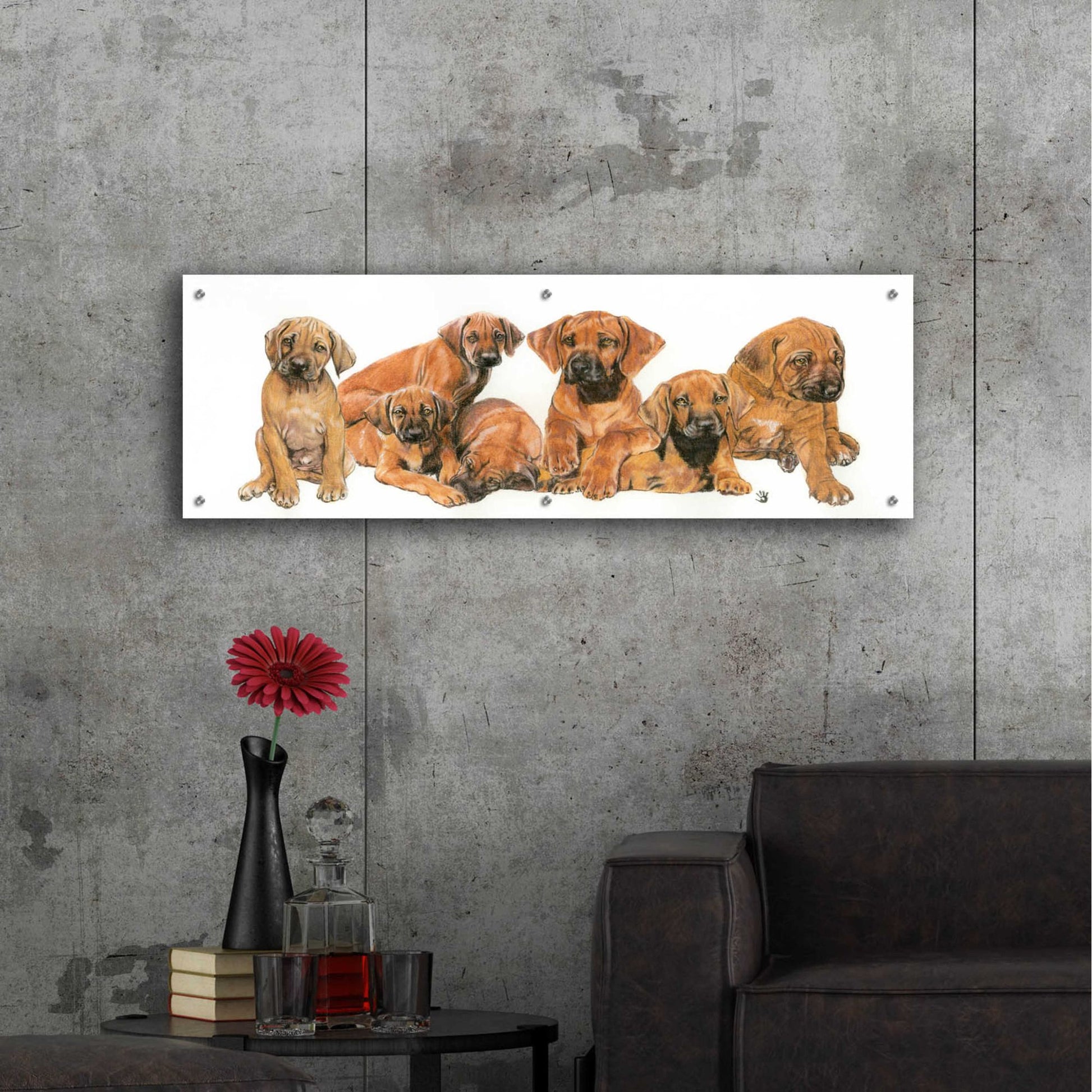 Epic Art 'Rhodisian Ridgeback Puppies' by Barbara Keith, Acrylic Glass Wall Art,48x16