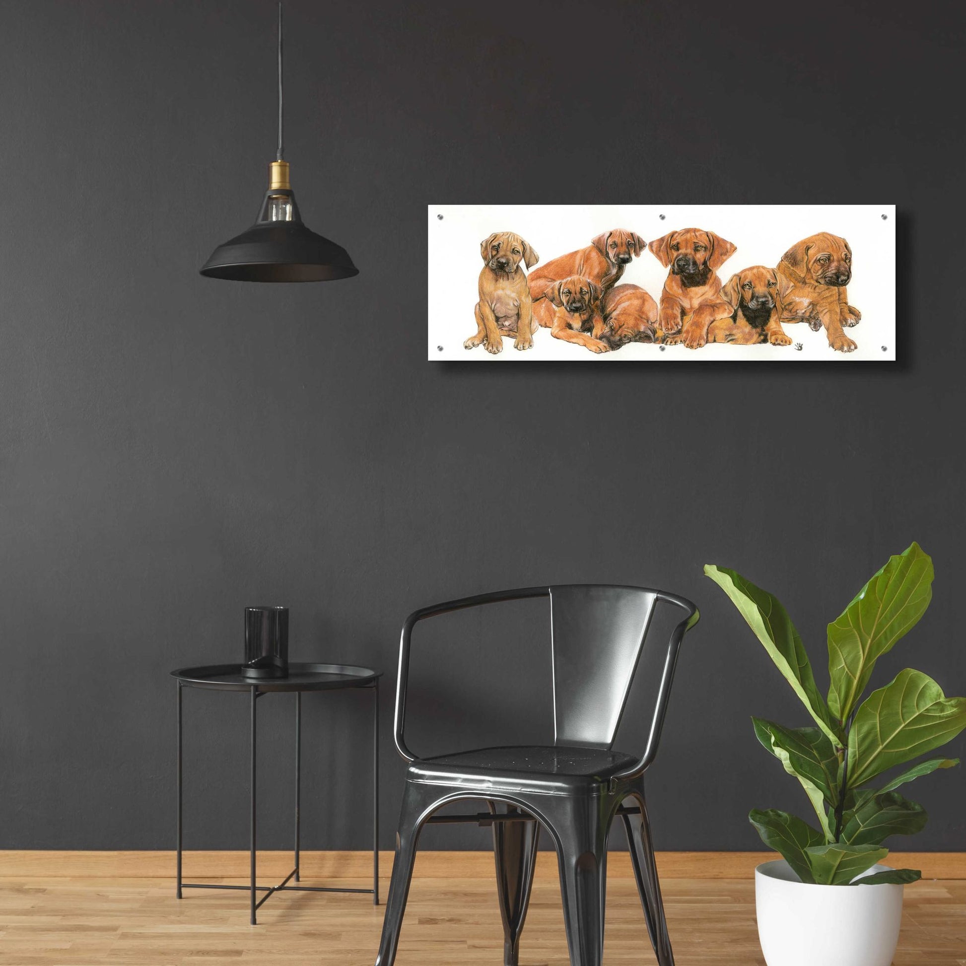 Epic Art 'Rhodisian Ridgeback Puppies' by Barbara Keith, Acrylic Glass Wall Art,48x16