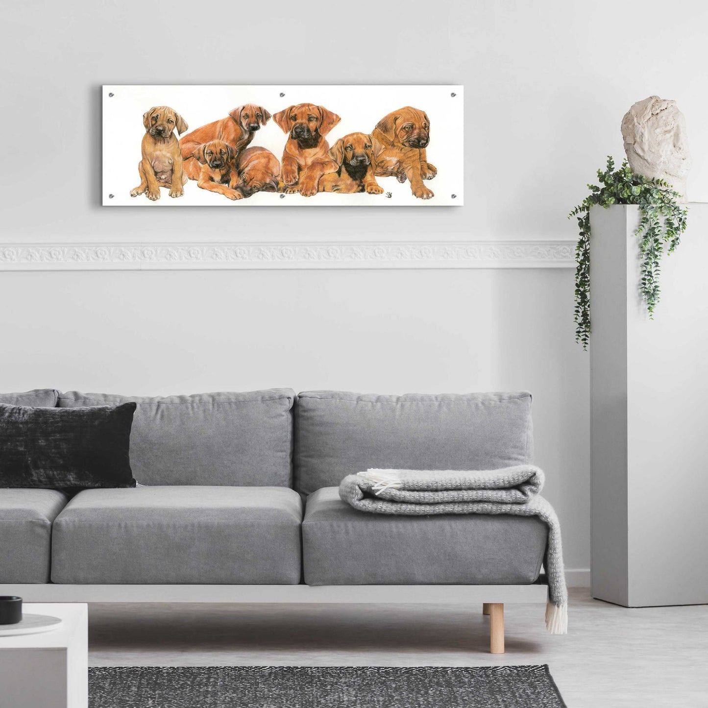 Epic Art 'Rhodisian Ridgeback Puppies' by Barbara Keith, Acrylic Glass Wall Art,48x16