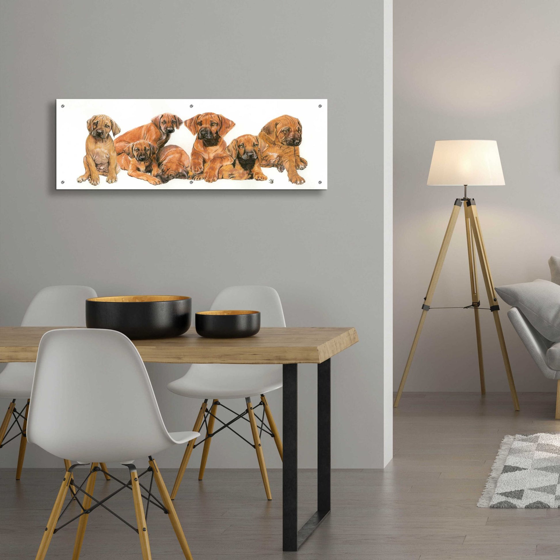 Epic Art 'Rhodisian Ridgeback Puppies' by Barbara Keith, Acrylic Glass Wall Art,48x16