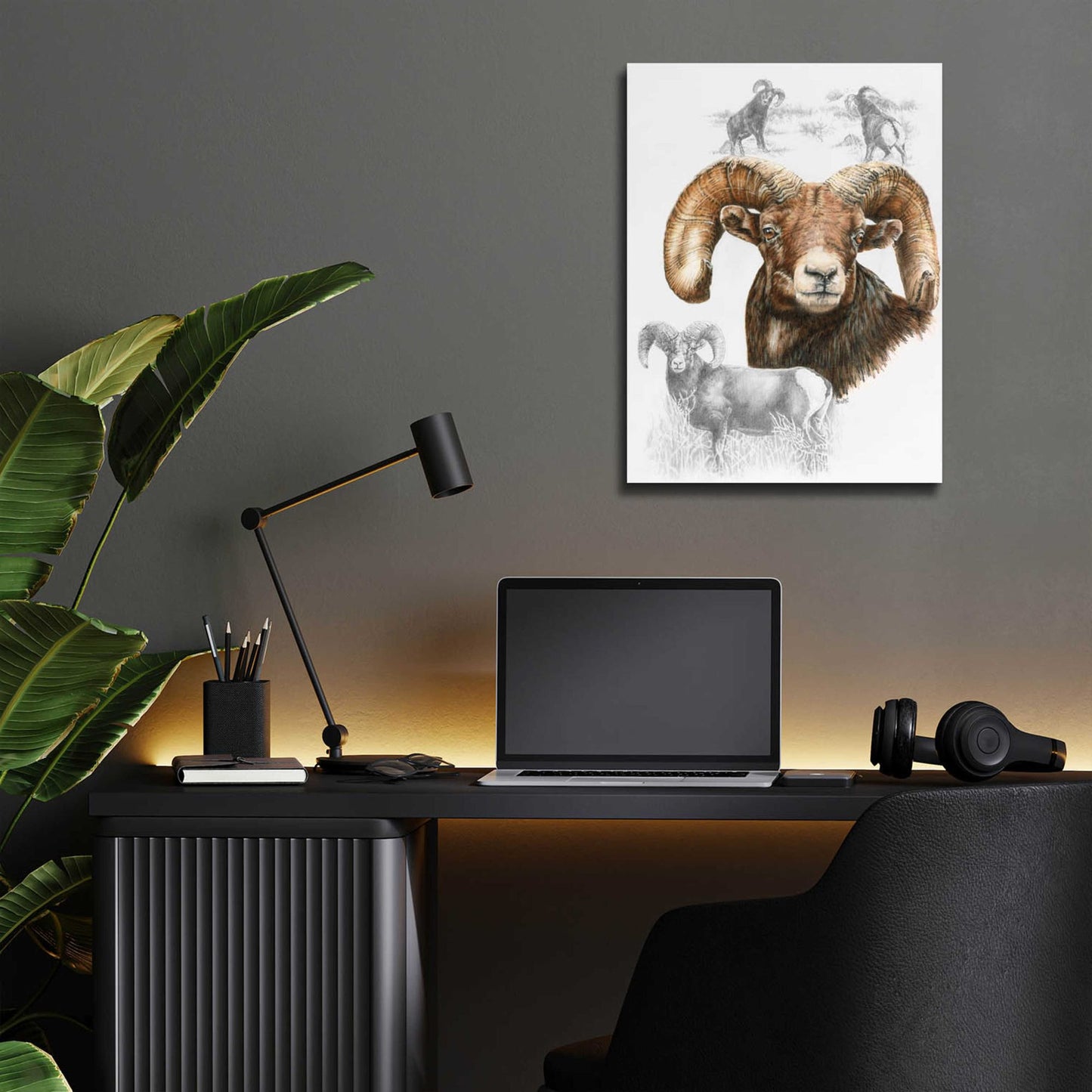 Epic Art 'Big Horn Sheep' by Barbara Keith, Acrylic Glass Wall Art,12x16