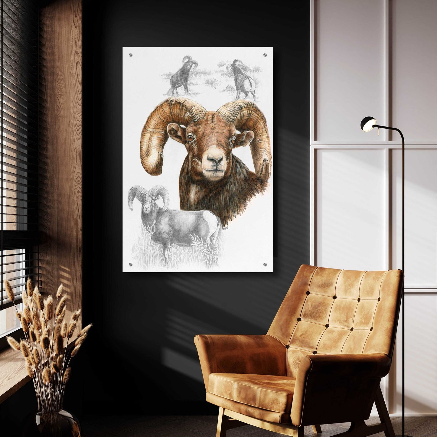 Epic Art 'Big Horn Sheep' by Barbara Keith, Acrylic Glass Wall Art,24x36