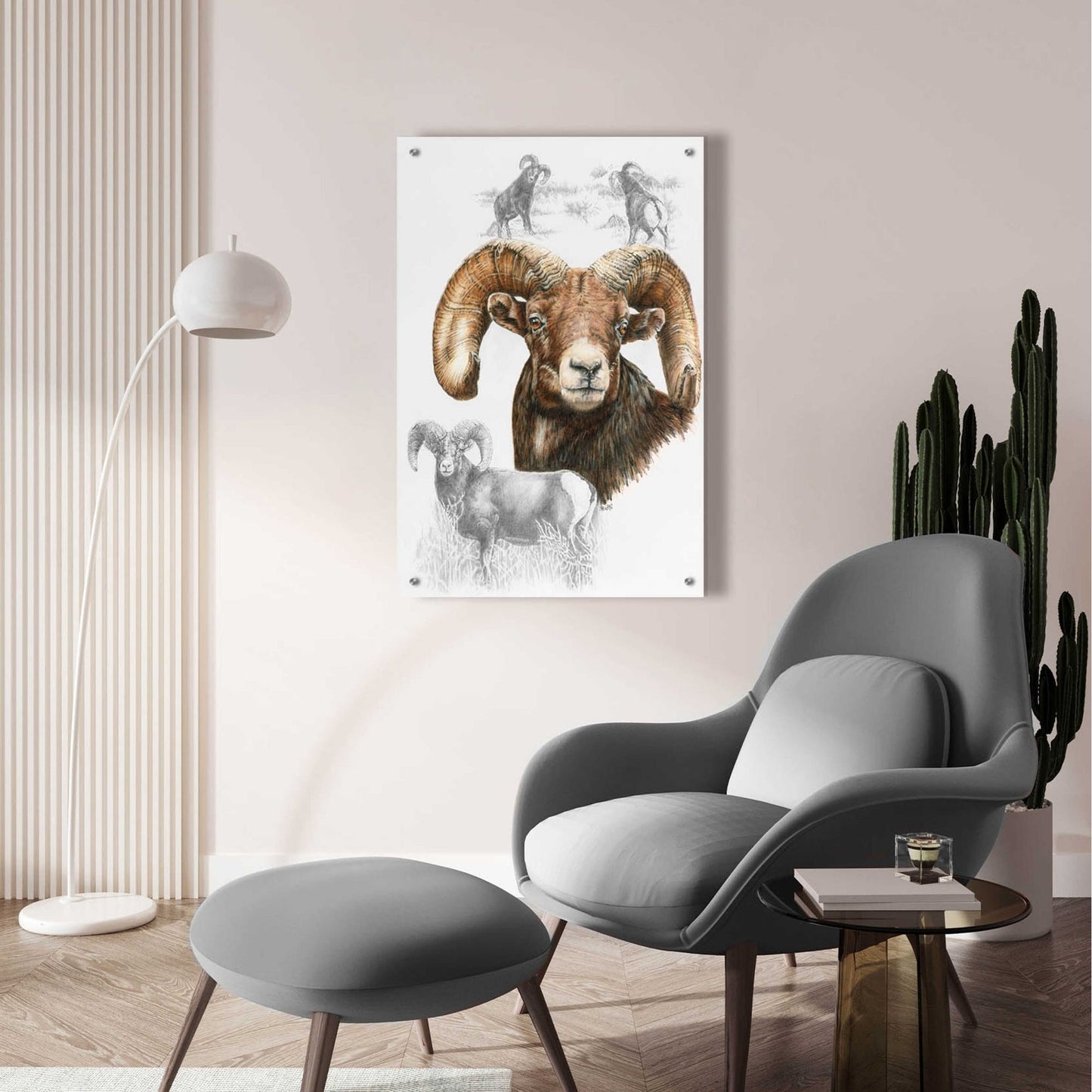 Epic Art 'Big Horn Sheep' by Barbara Keith, Acrylic Glass Wall Art,24x36