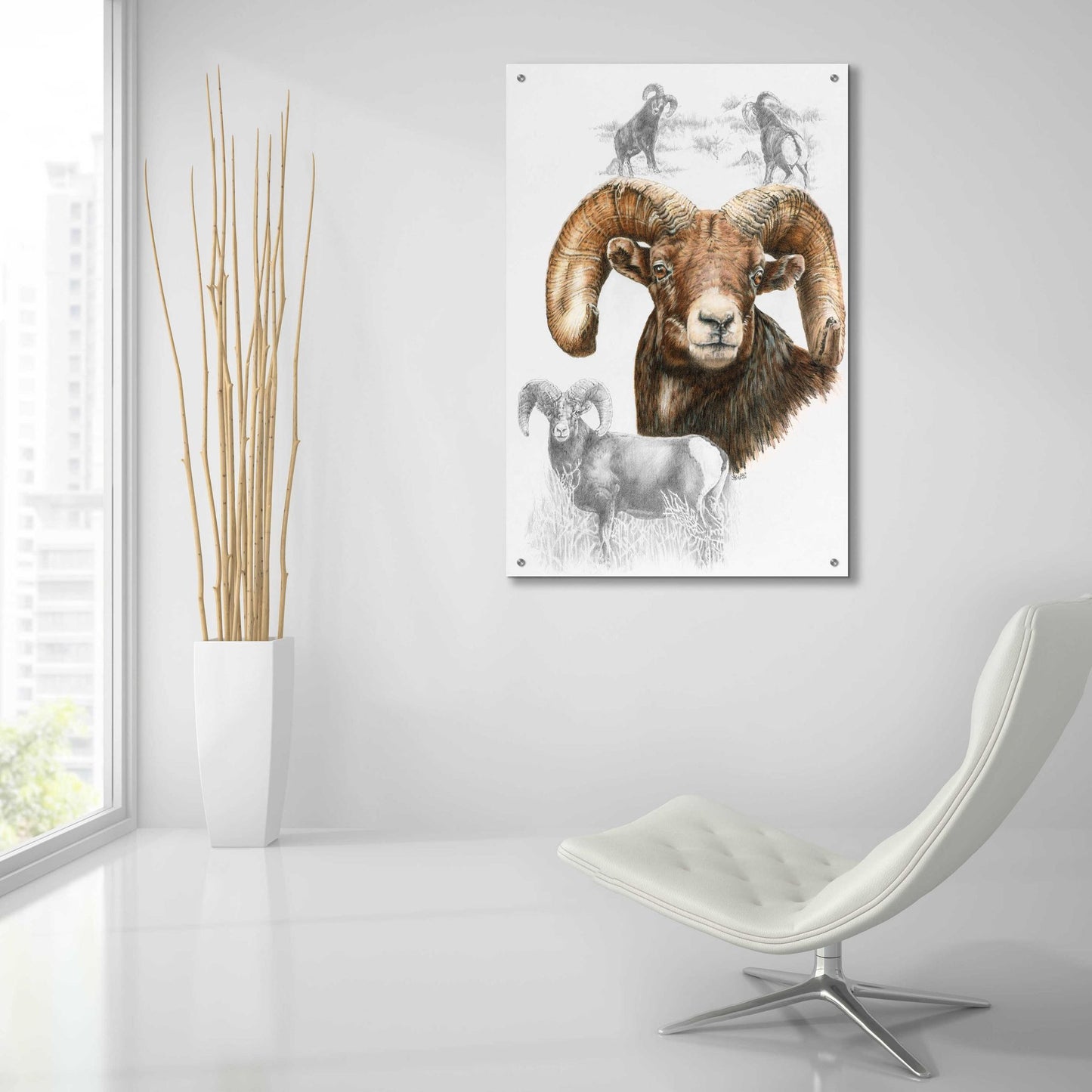 Epic Art 'Big Horn Sheep' by Barbara Keith, Acrylic Glass Wall Art,24x36