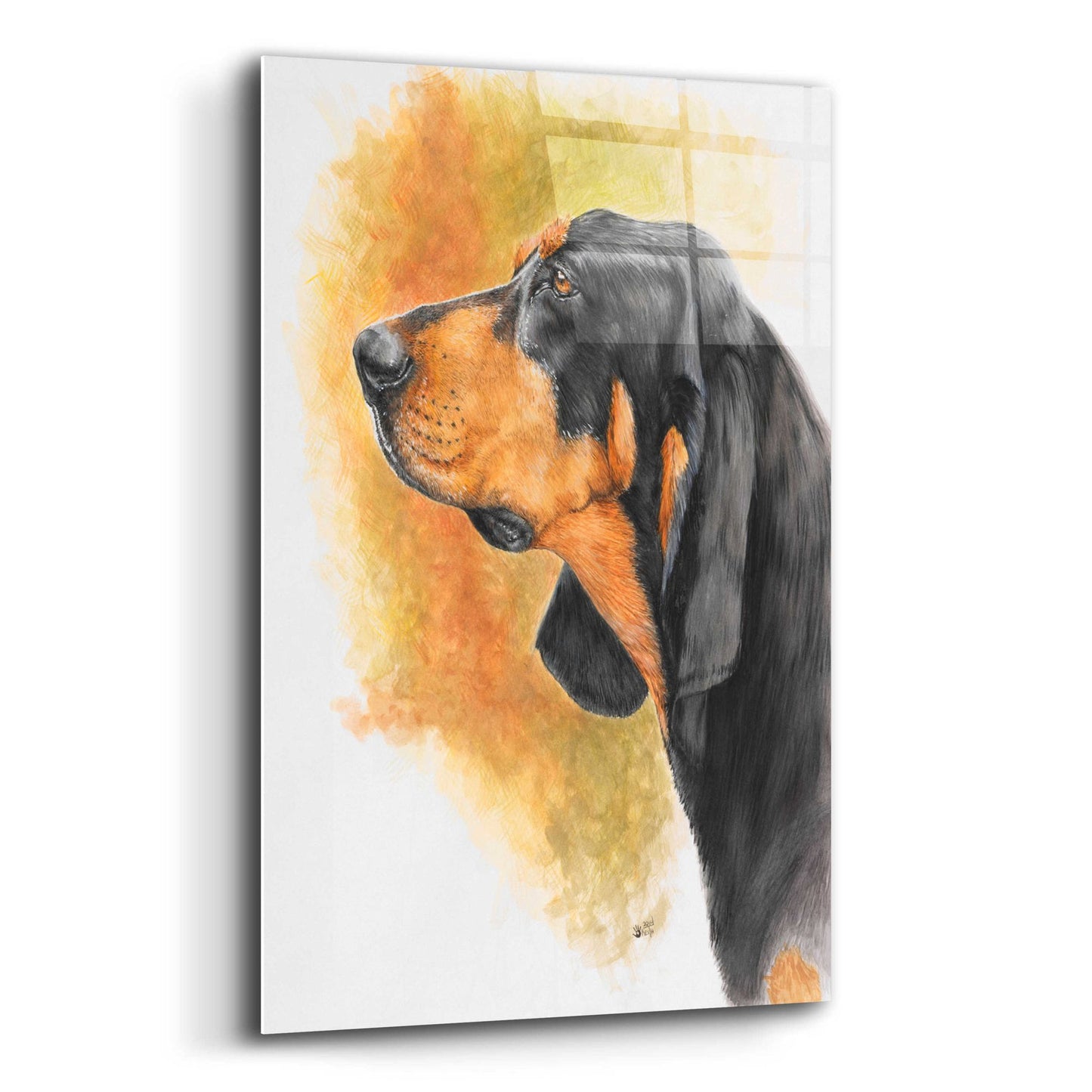 Epic Art 'Black and Tan CoonHound' by Barbara Keith, Acrylic Glass Wall Art,12x16