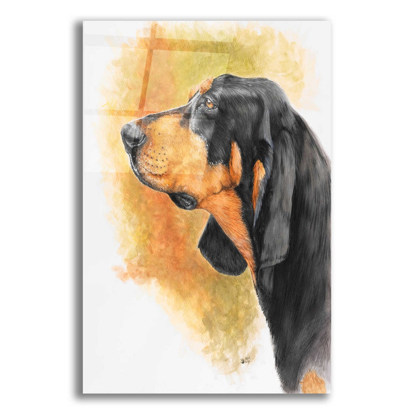 Epic Art 'Black and Tan CoonHound' by Barbara Keith, Acrylic Glass Wall Art,12x16