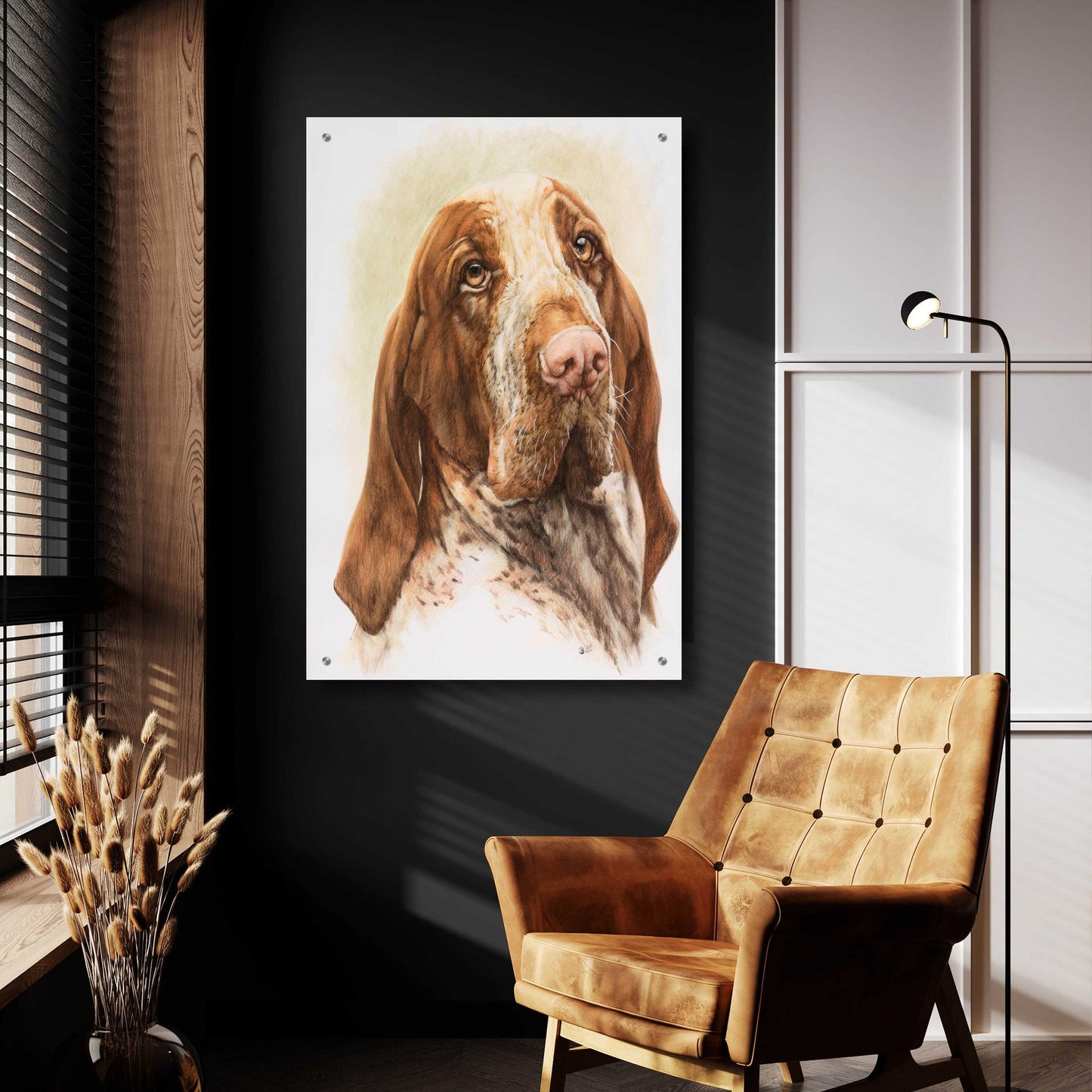 Epic Art 'Bracco Italiano 2' by Barbara Keith, Acrylic Glass Wall Art,24x36