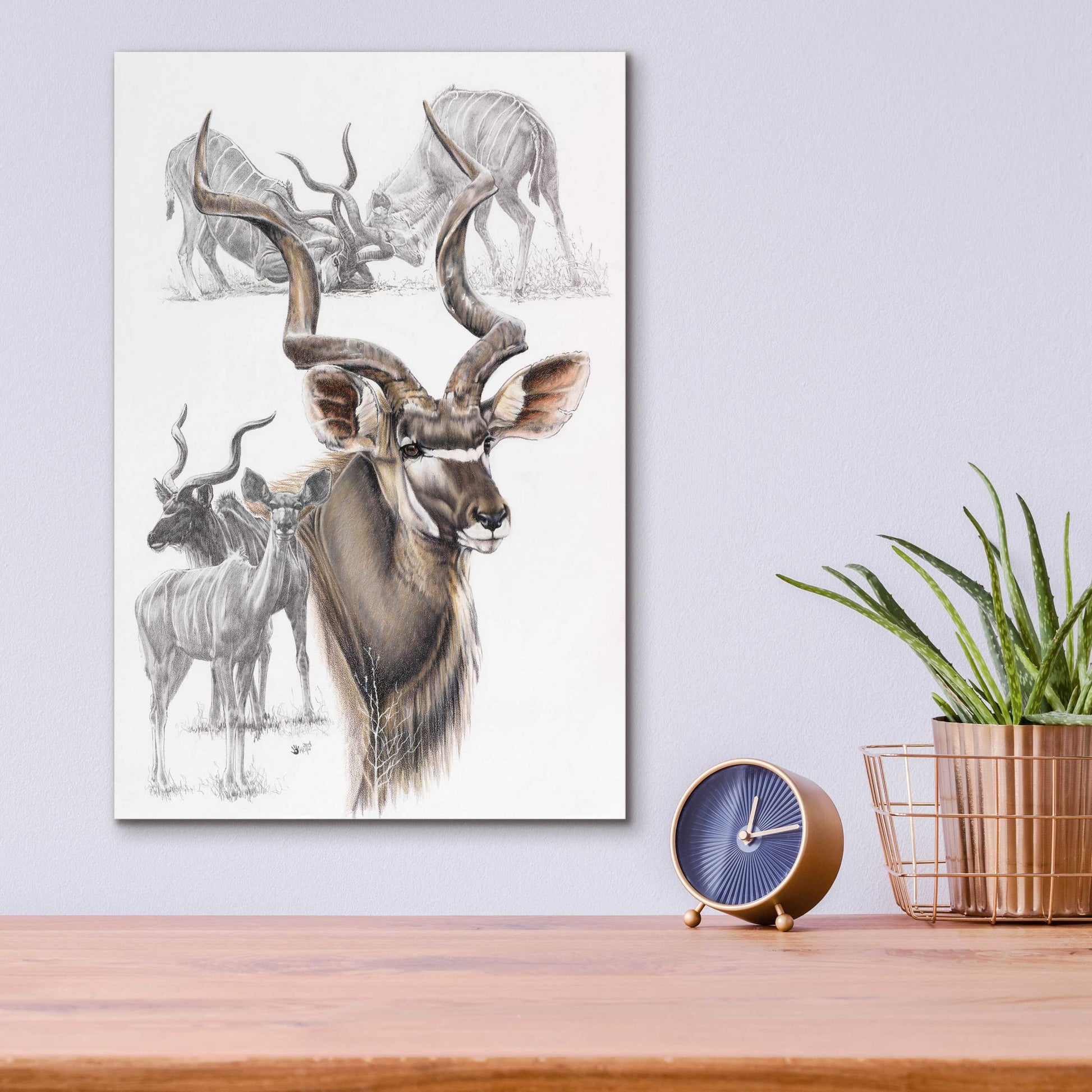 Epic Art 'Kudu' by Barbara Keith, Acrylic Glass Wall Art,12x16