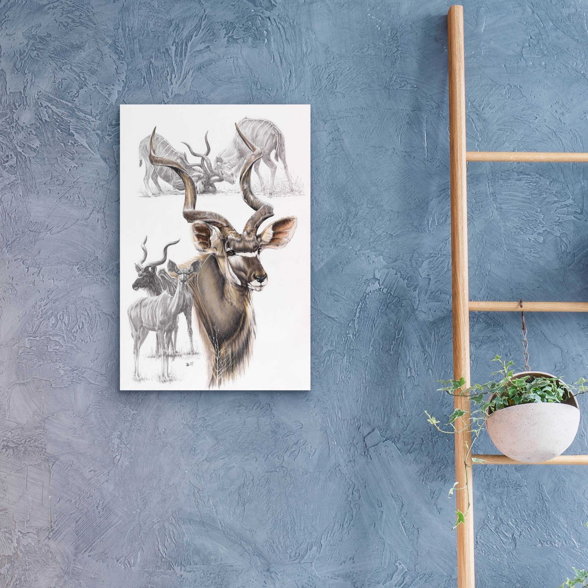 Epic Art 'Kudu' by Barbara Keith, Acrylic Glass Wall Art,16x24