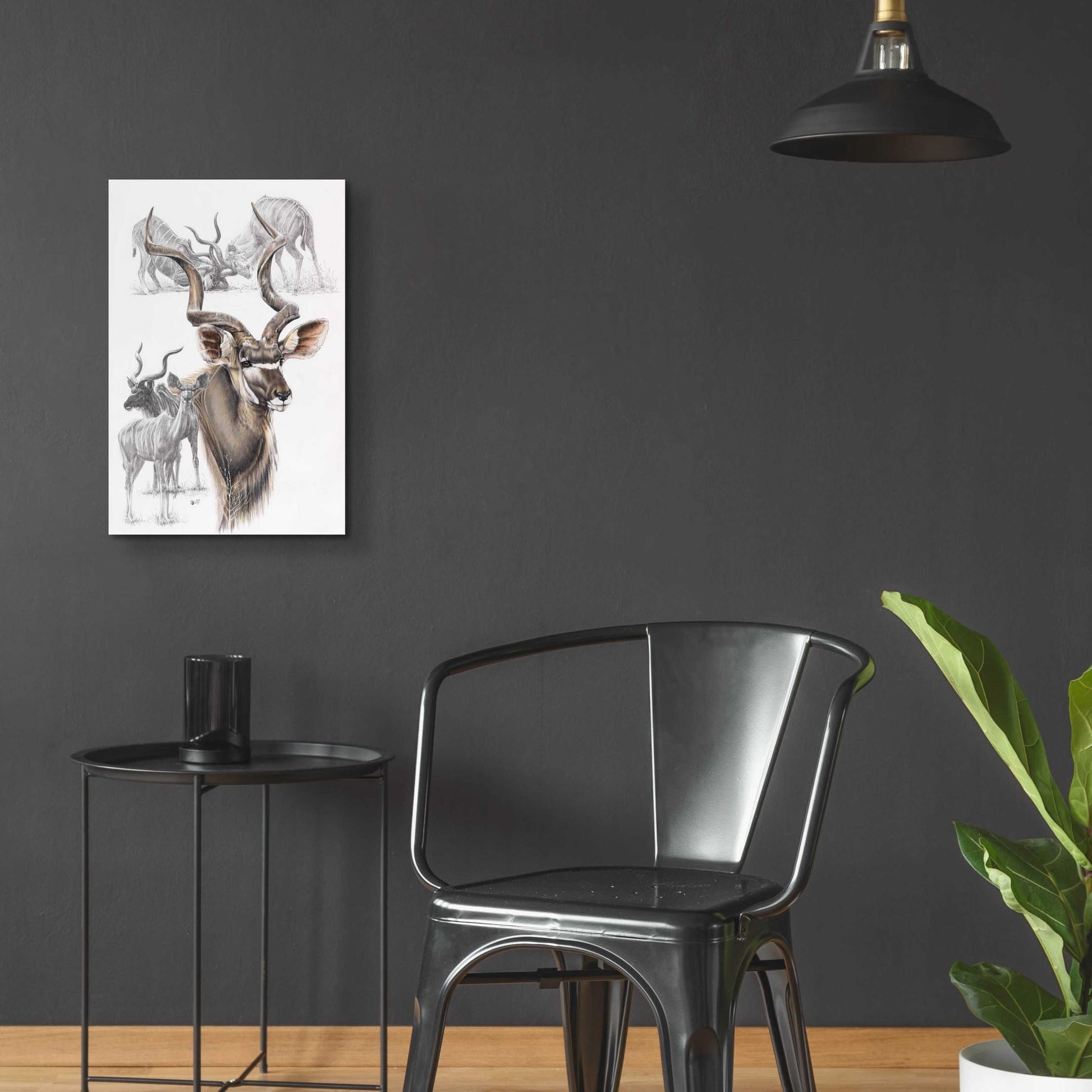 Epic Art 'Kudu' by Barbara Keith, Acrylic Glass Wall Art,16x24