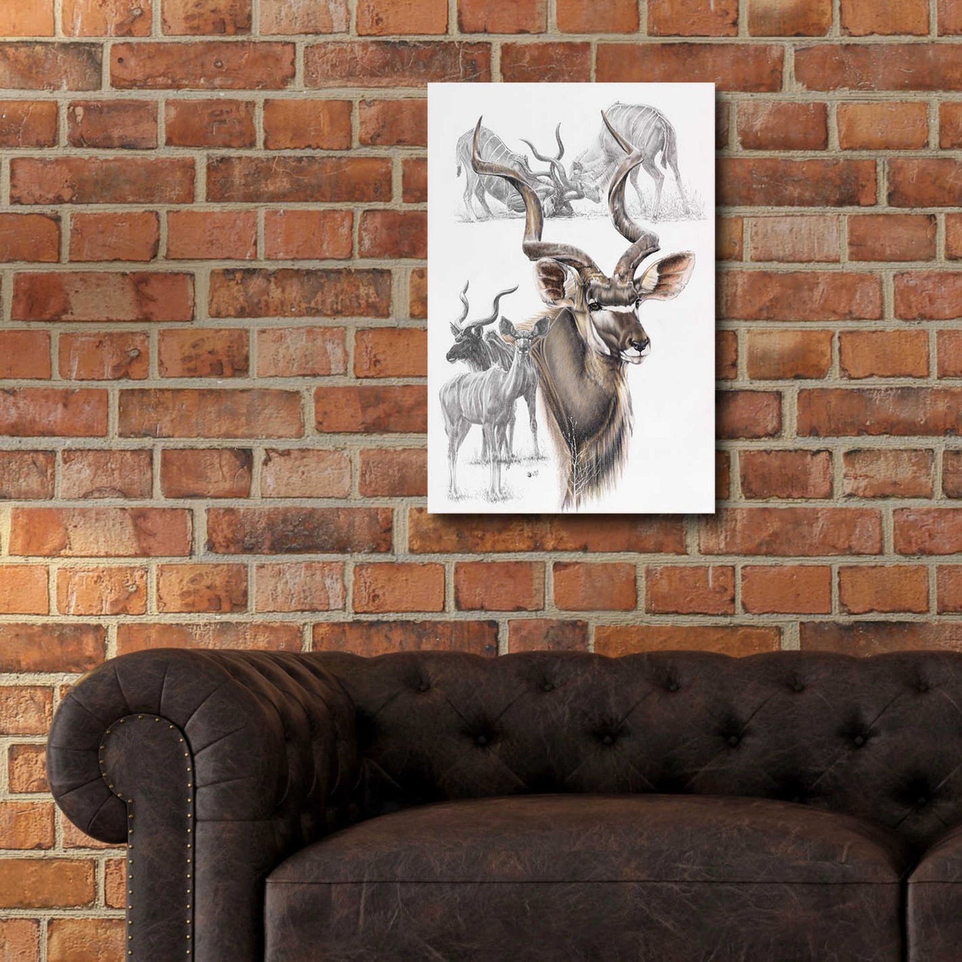 Epic Art 'Kudu' by Barbara Keith, Acrylic Glass Wall Art,16x24