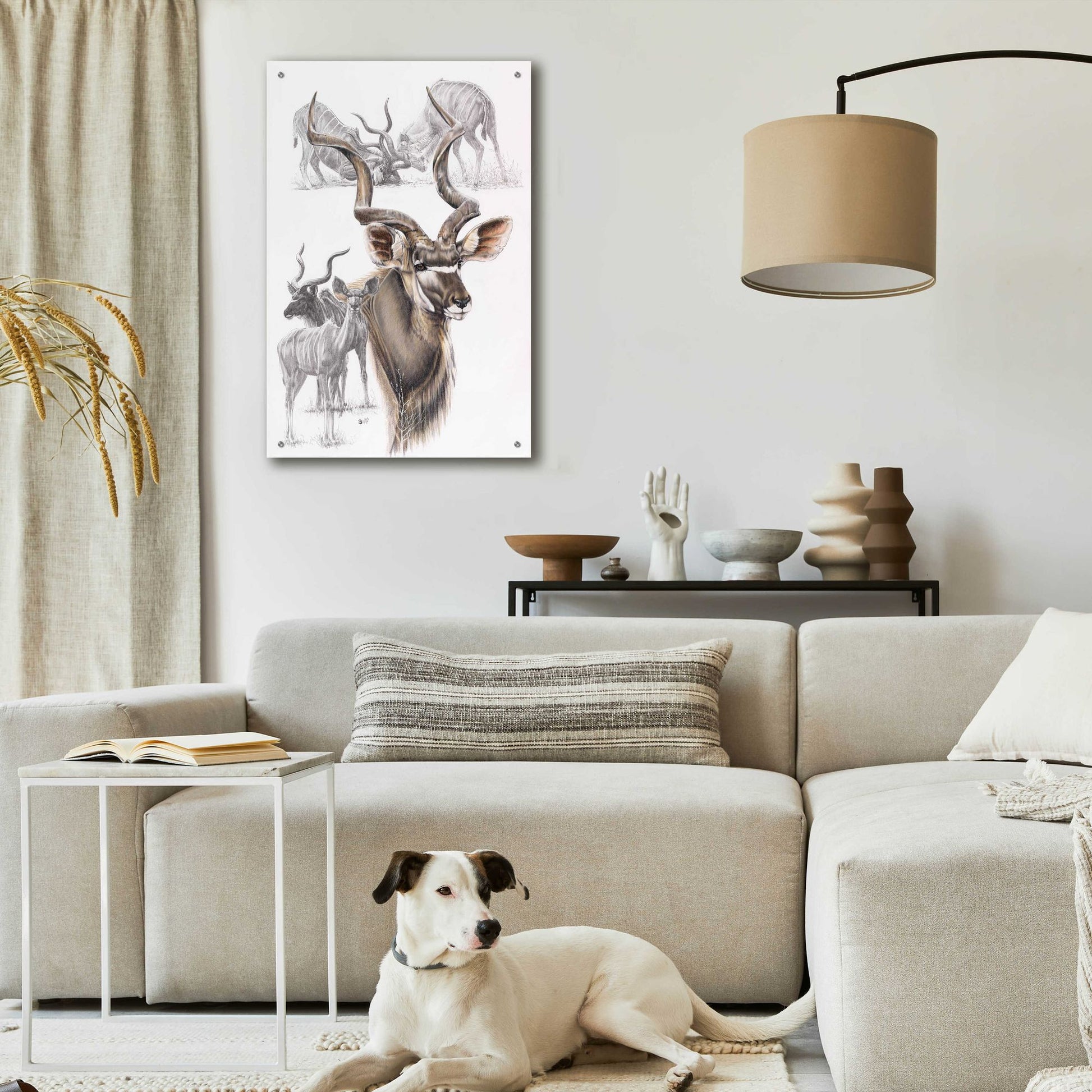 Epic Art 'Kudu' by Barbara Keith, Acrylic Glass Wall Art,24x36