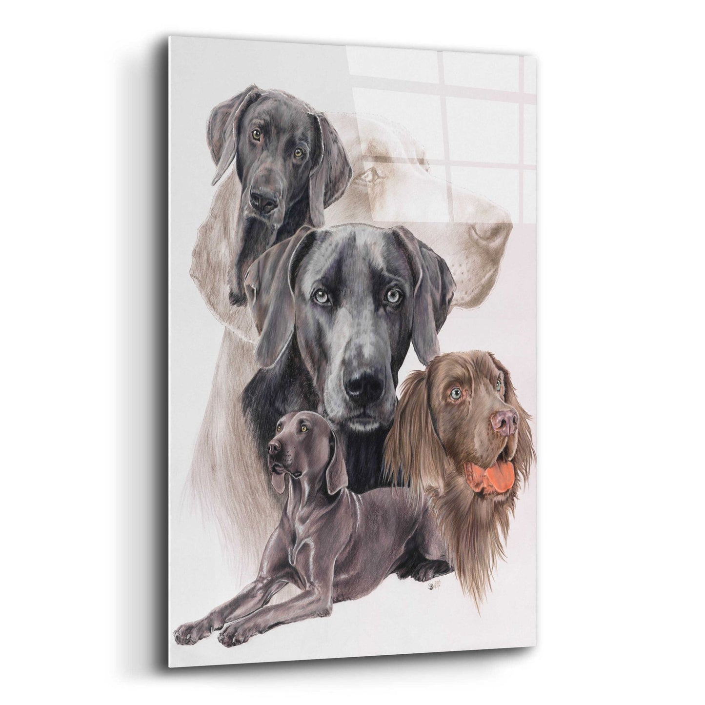 Epic Art 'Weimaraner and Ghost' by Barbara Keith, Acrylic Glass Wall Art,12x16