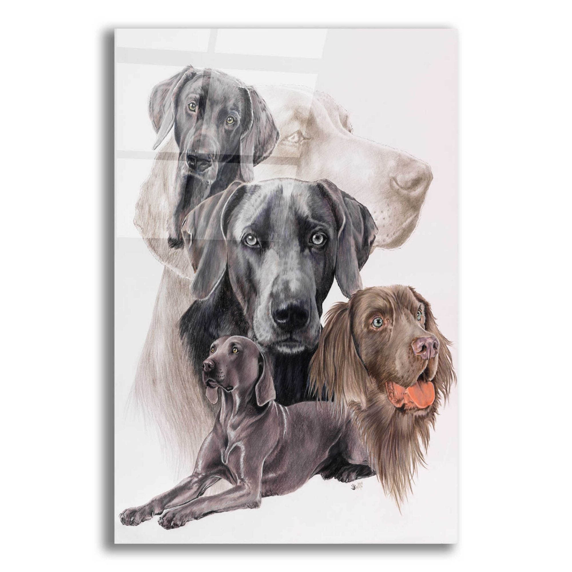 Weimaraner shop wall art