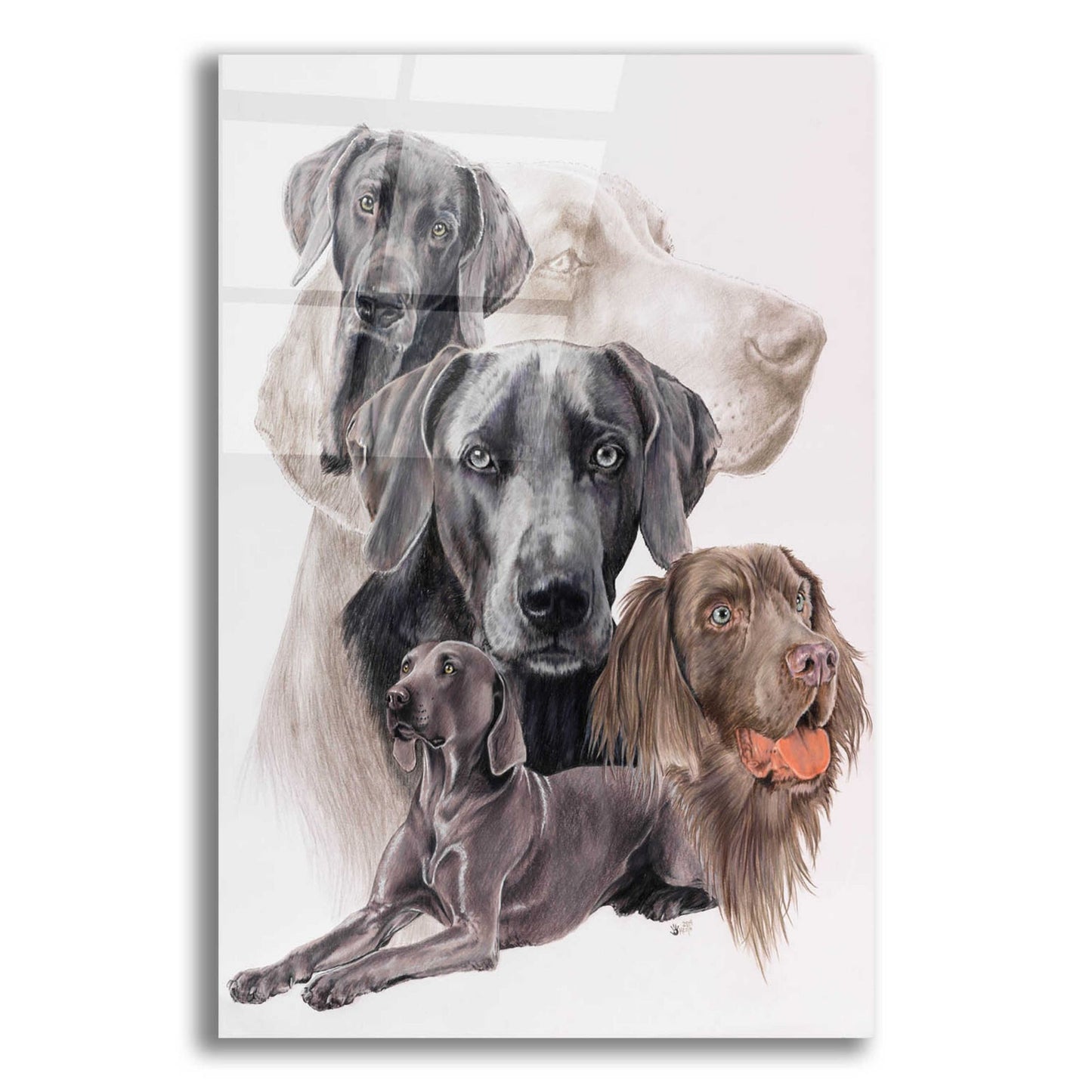 Epic Art 'Weimaraner and Ghost' by Barbara Keith, Acrylic Glass Wall Art,12x16