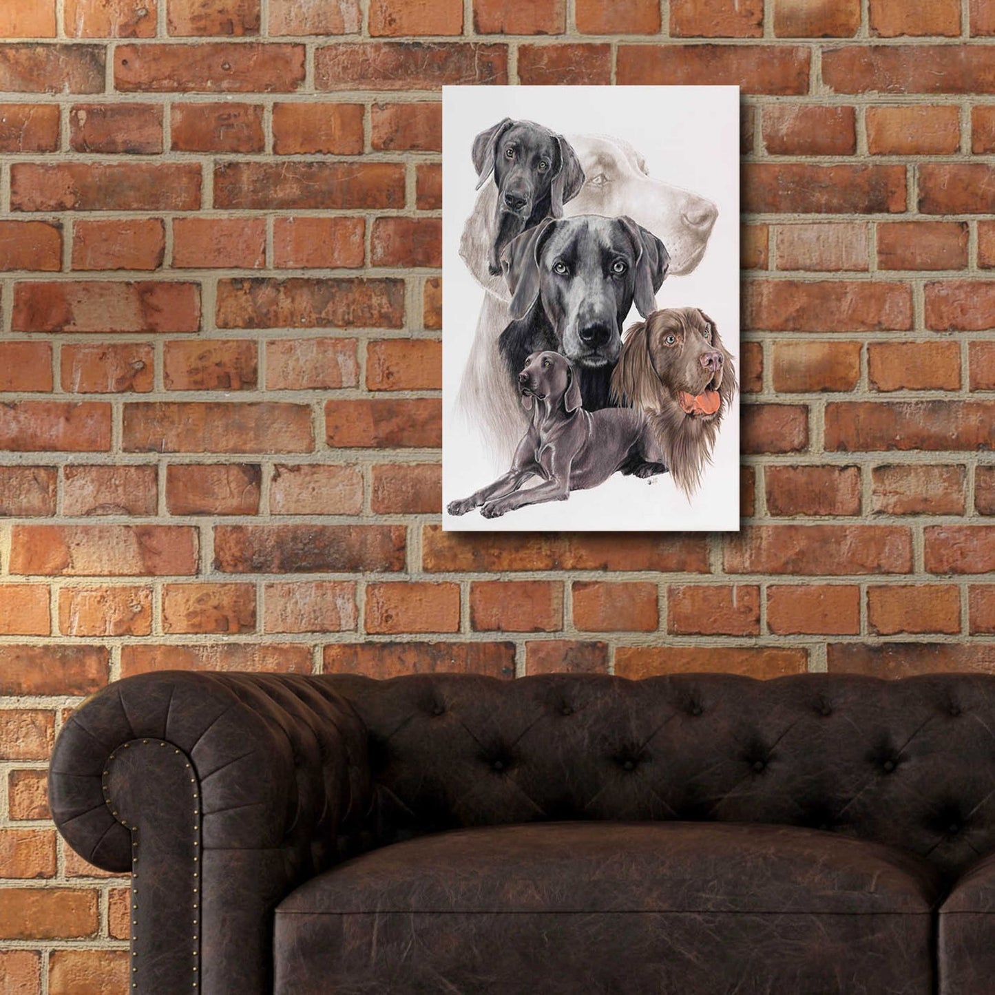 Epic Art 'Weimaraner and Ghost' by Barbara Keith, Acrylic Glass Wall Art,16x24