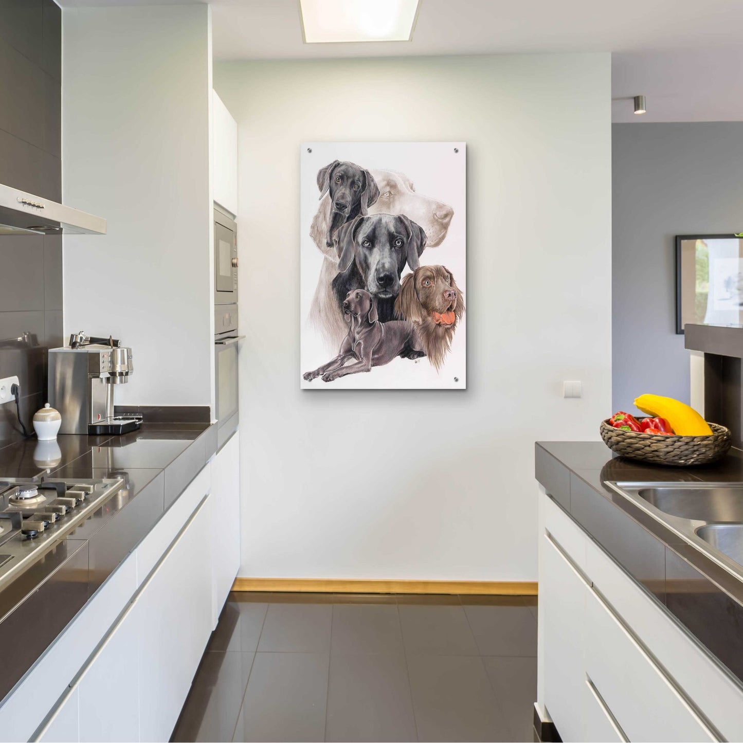 Epic Art 'Weimaraner and Ghost' by Barbara Keith, Acrylic Glass Wall Art,24x36