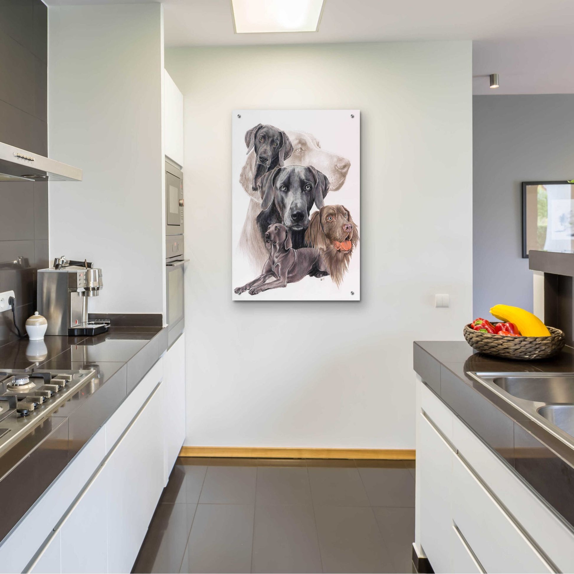 Epic Art 'Weimaraner and Ghost' by Barbara Keith, Acrylic Glass Wall Art,24x36