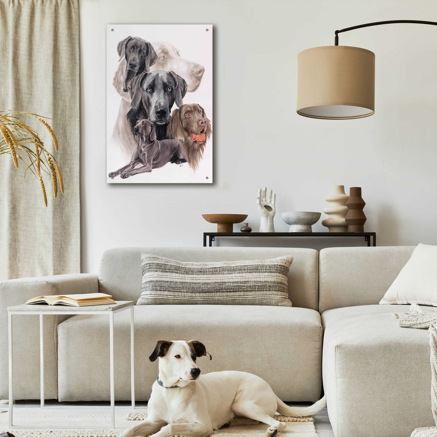 Epic Art 'Weimaraner and Ghost' by Barbara Keith, Acrylic Glass Wall Art,24x36