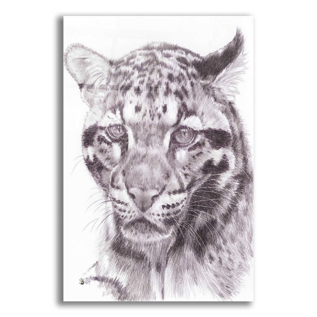 Blatant by Barbara Keith acrylic glass wall art