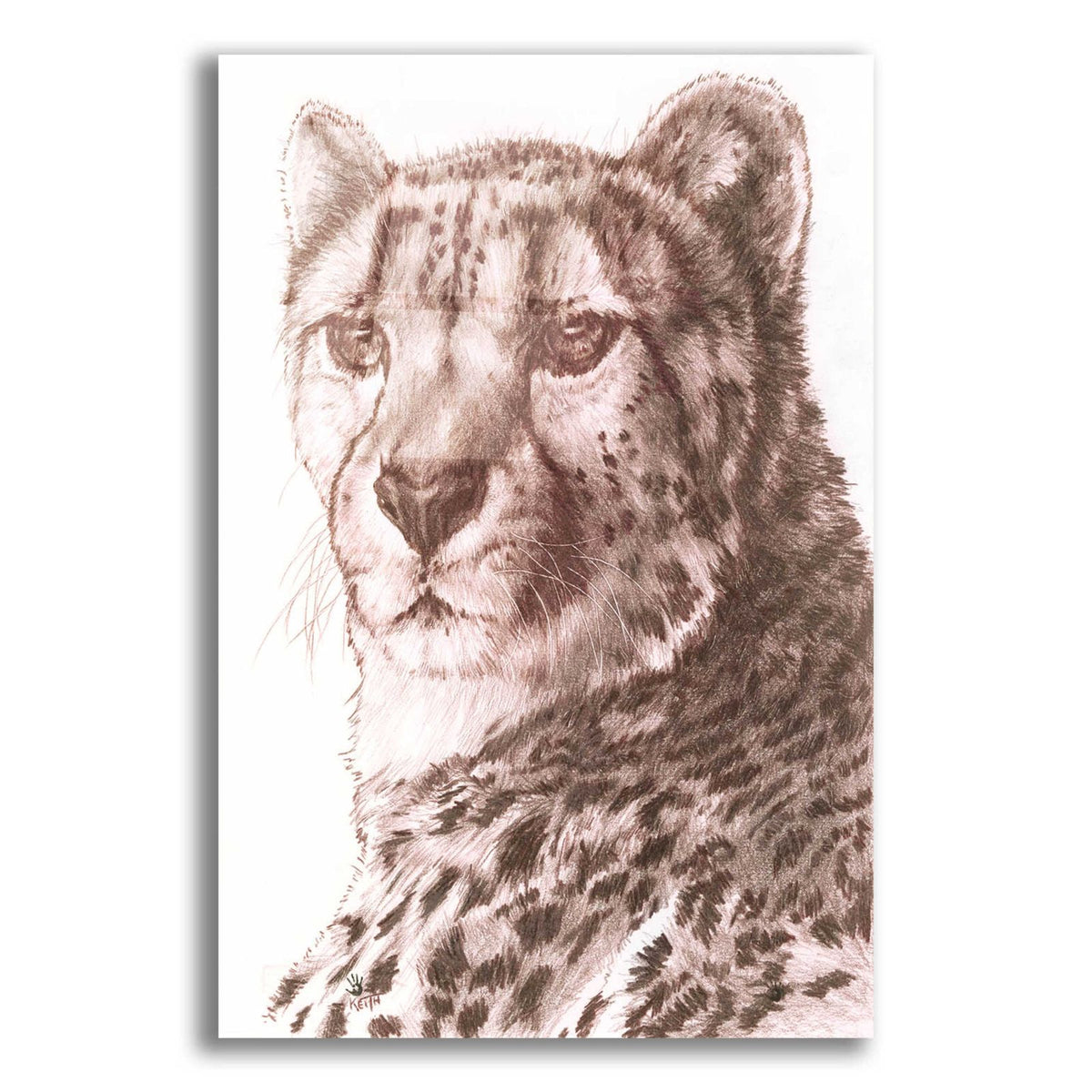 Haste by Barbara Keith acrylic glass wall art