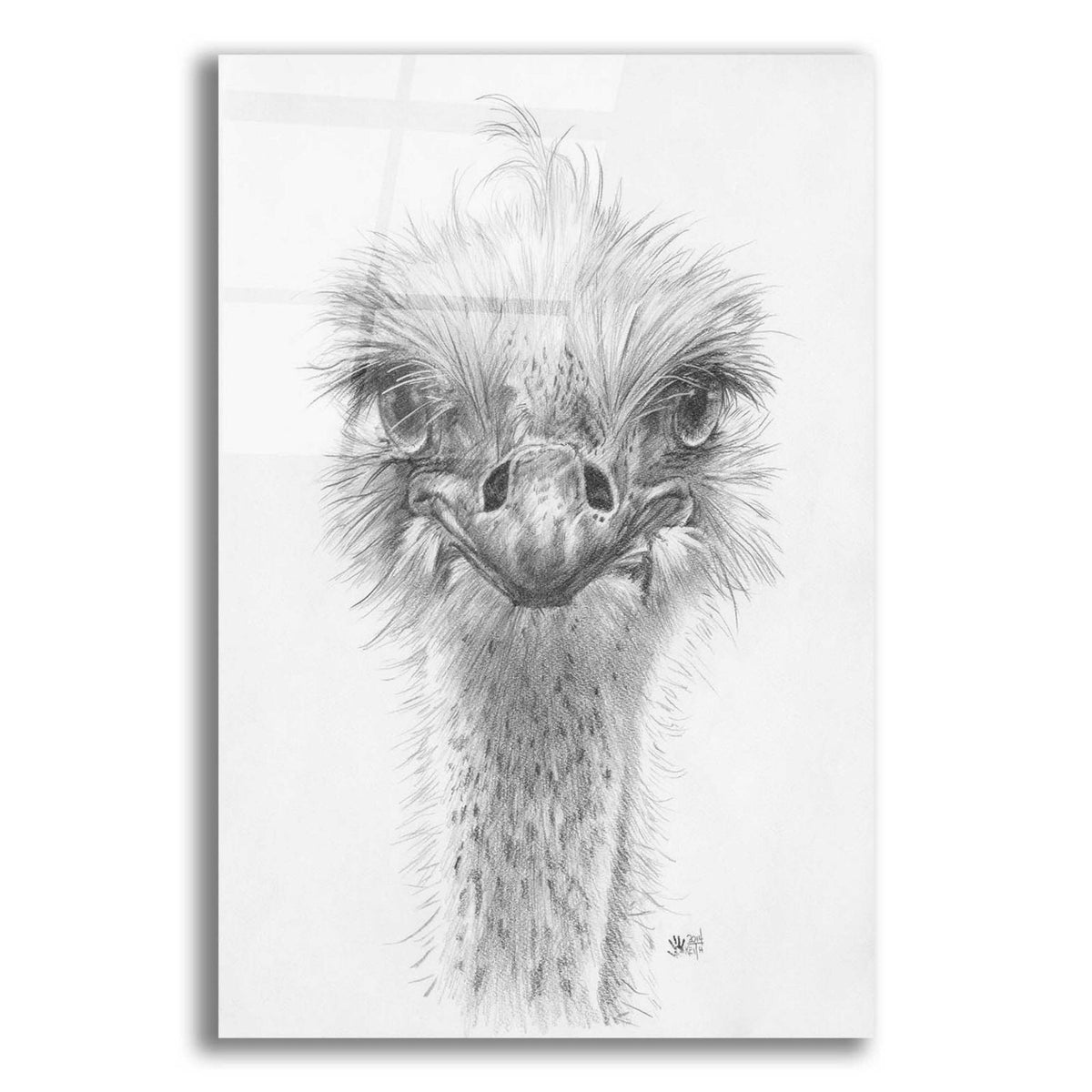 Ozzy by Barbara Keith acrylic glass wall art