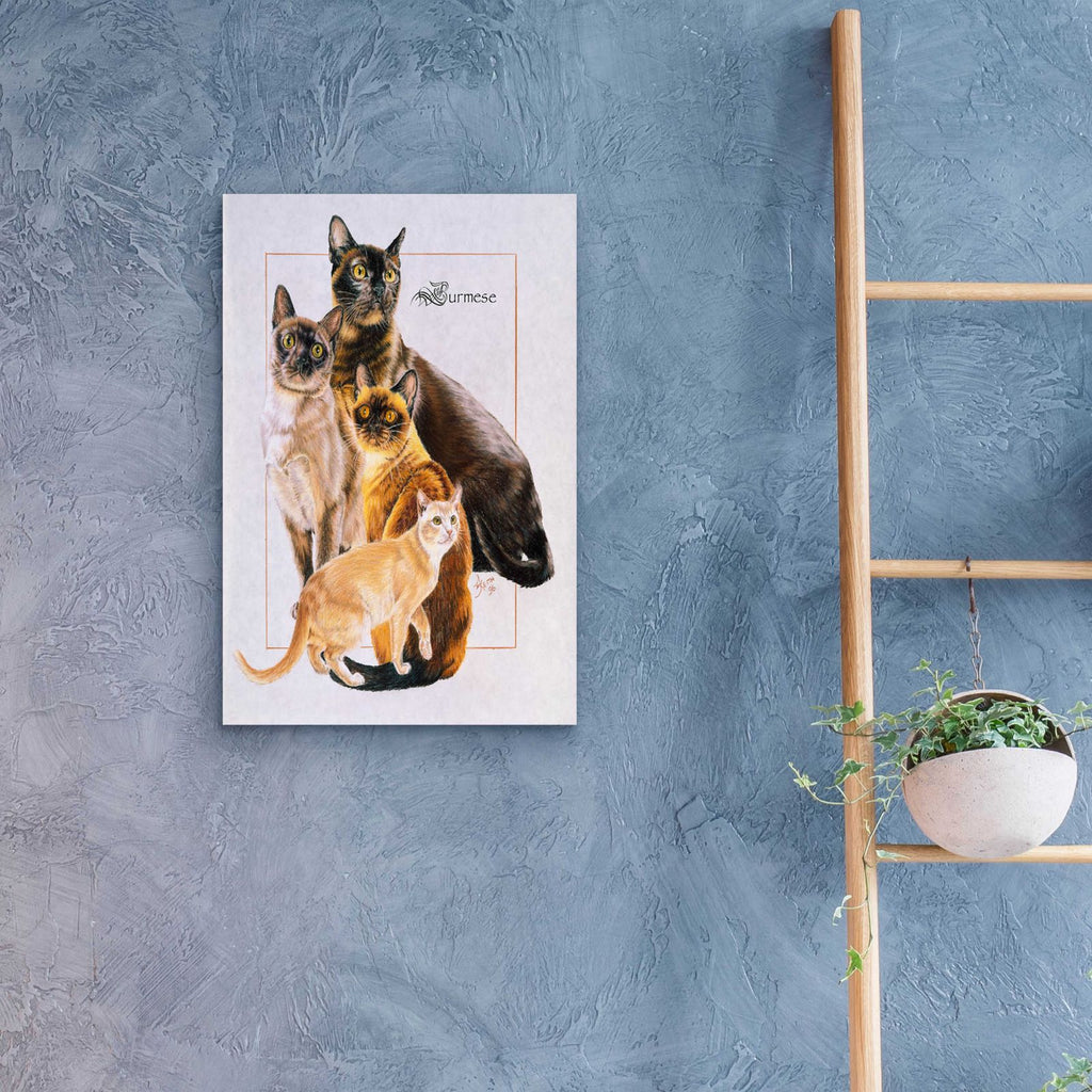 Burmese by Barbara Keith - 16x24 acrylic wall art in a room