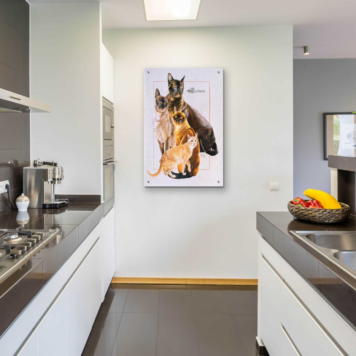 Burmese by Barbara Keith - 24x36 acrylic wall art in a room
