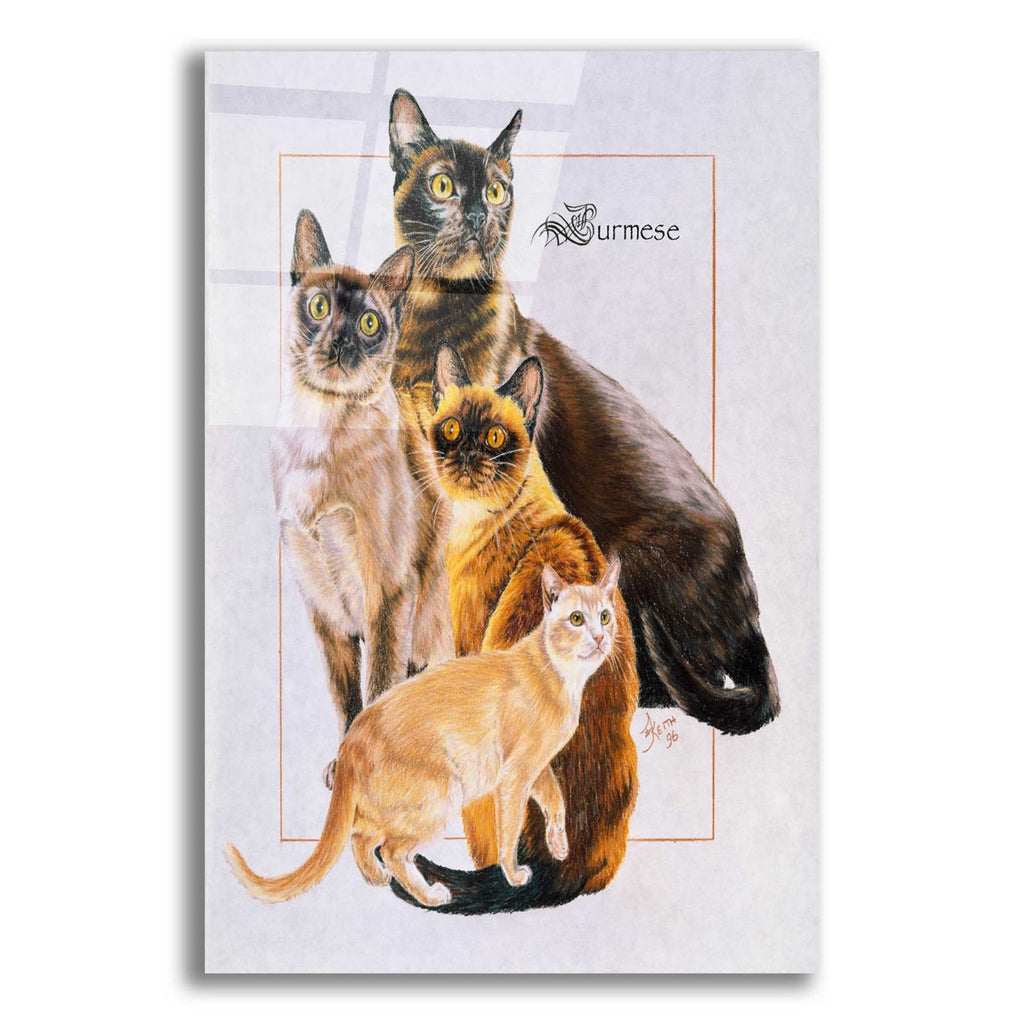 Burmese by Barbara Keith acrylic glass wall art