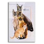 Burmese by Barbara Keith acrylic glass wall art