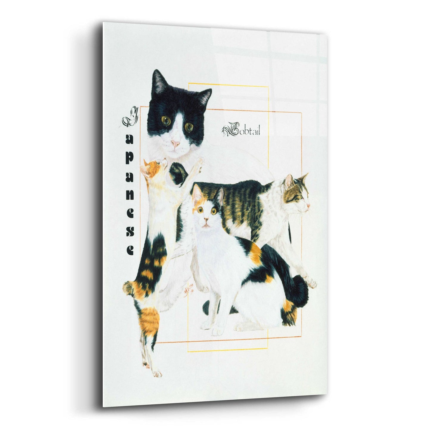 Epic Art 'Japanese Bobtail' by Barbara Keith, Acrylic Glass Wall Art,12x16