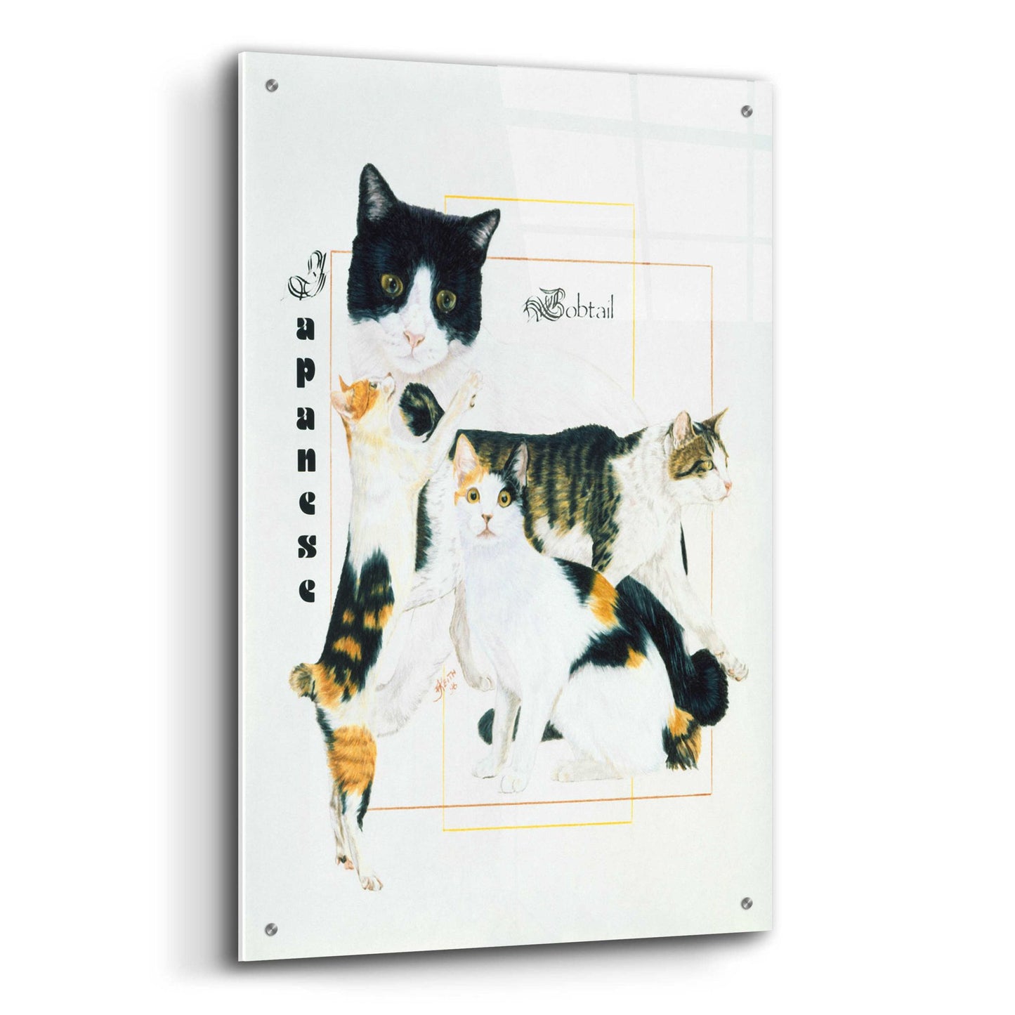 Epic Art 'Japanese Bobtail' by Barbara Keith, Acrylic Glass Wall Art,24x36