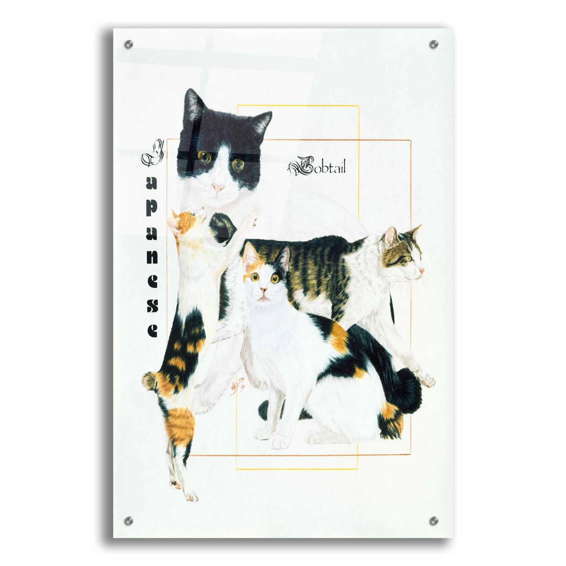 Epic Art 'Japanese Bobtail' by Barbara Keith, Acrylic Glass Wall Art,24x36