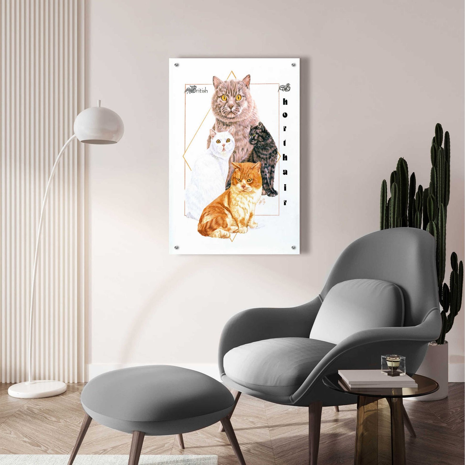 Epic Art 'British Shorthair' by Barbara Keith, Acrylic Glass Wall Art,24x36