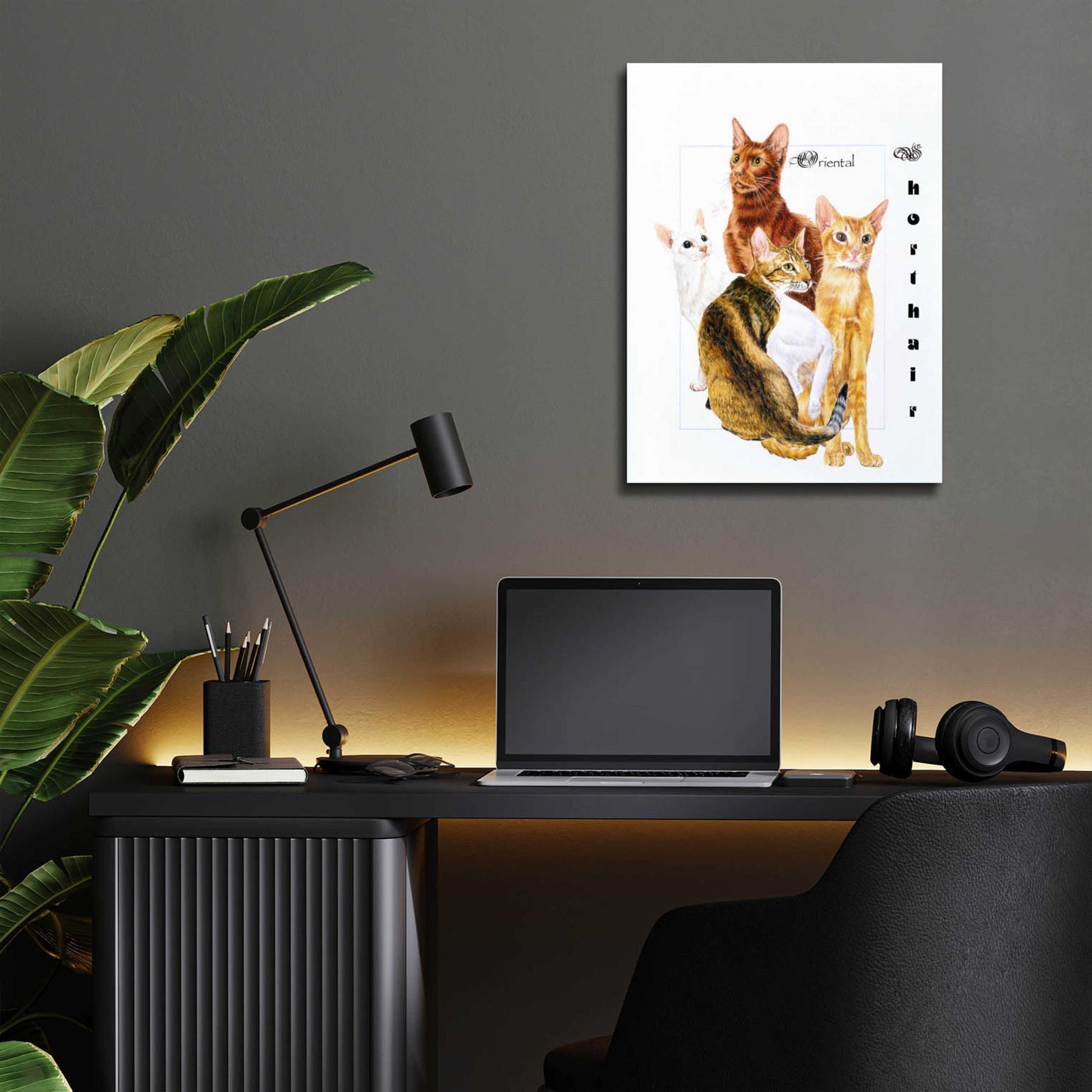 Epic Art 'Oriental Shorthair' by Barbara Keith, Acrylic Glass Wall Art,12x16