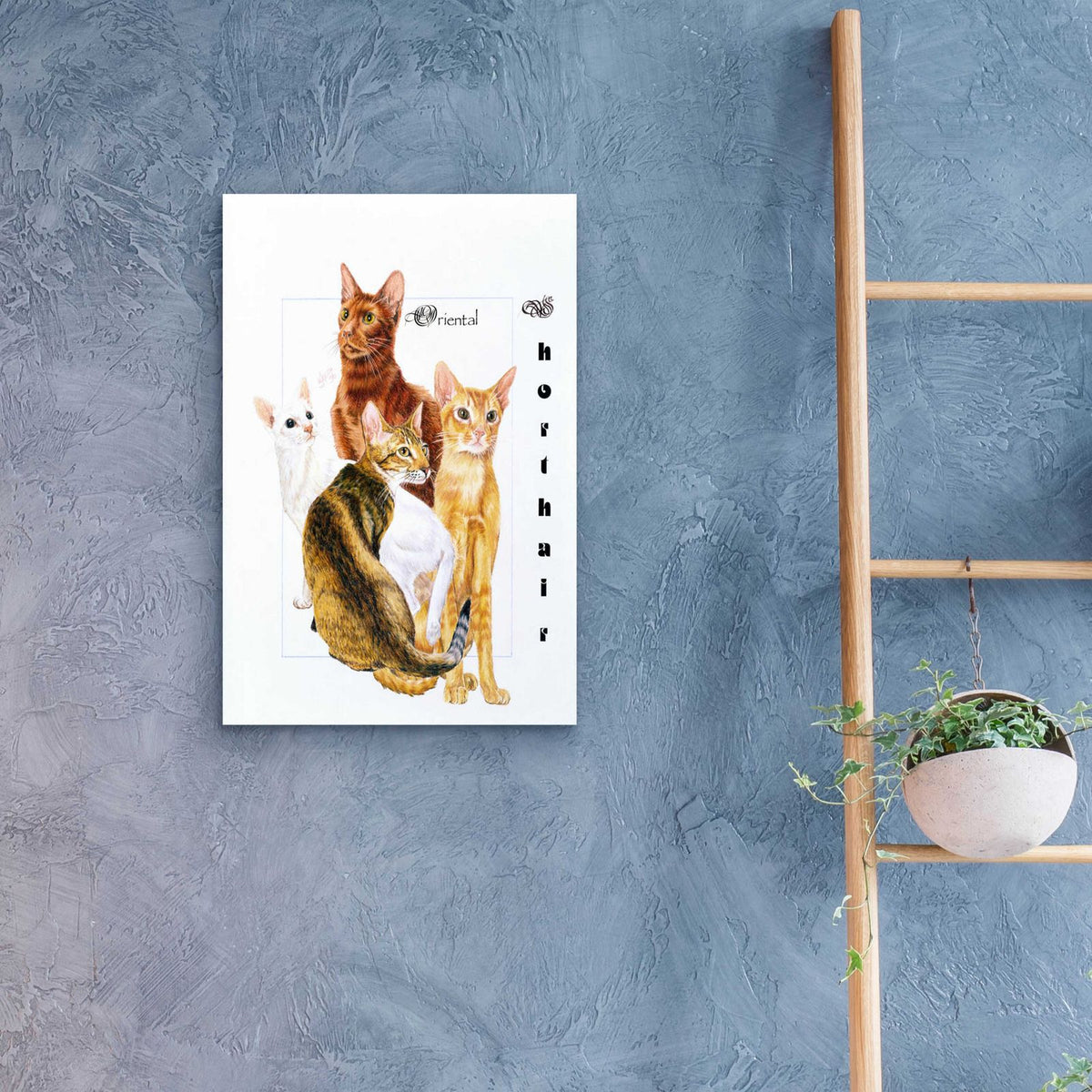Oriental Shorthair by Barbara Keith - 16x24 acrylic wall art in a room